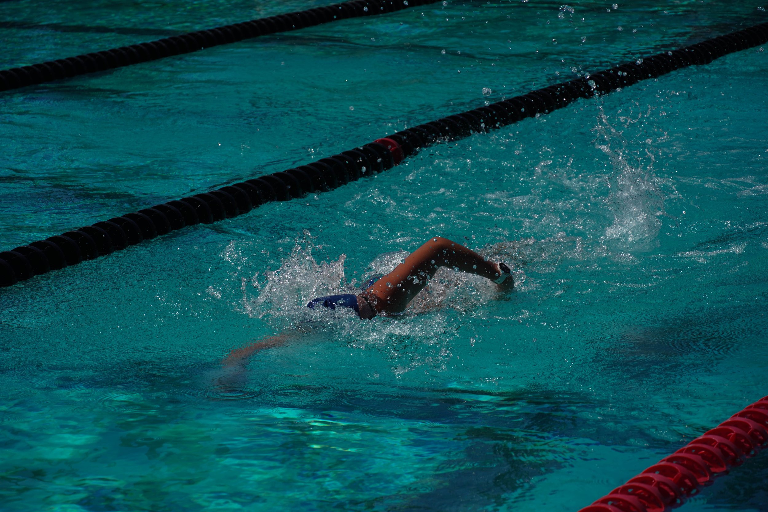 chapman swimmer swimming