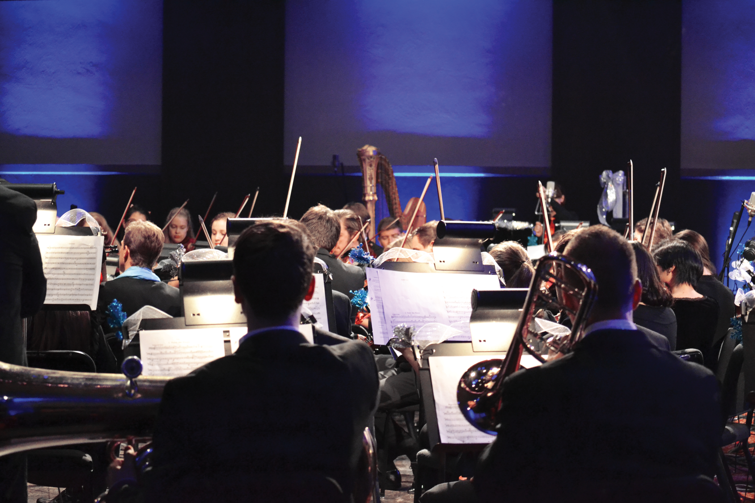 Performance majors adjust to virtual classes 