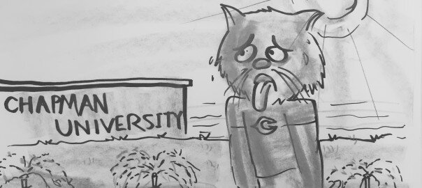 Opinion | It has been a journey