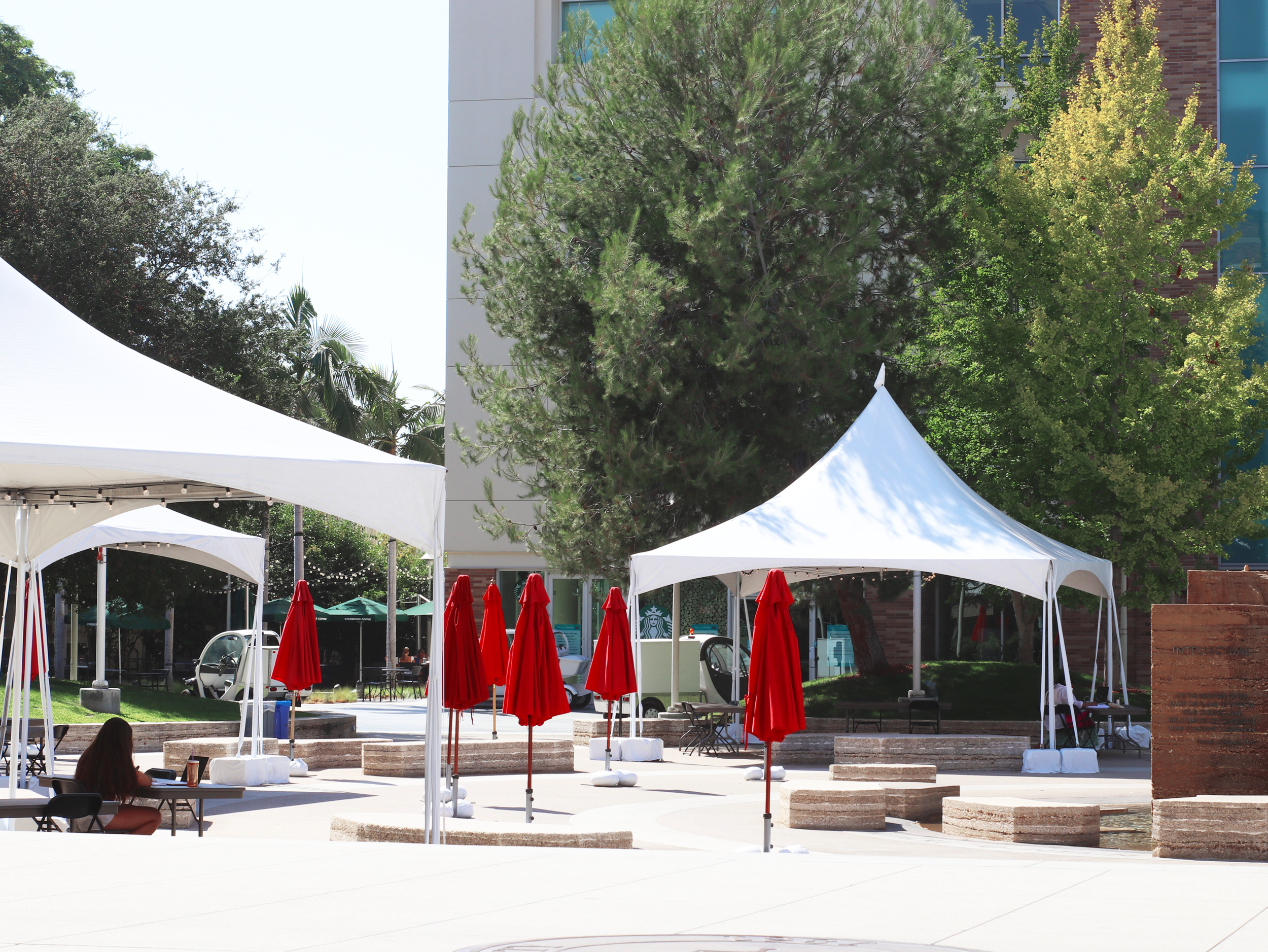 Chapman sets up outdoor areas for student access