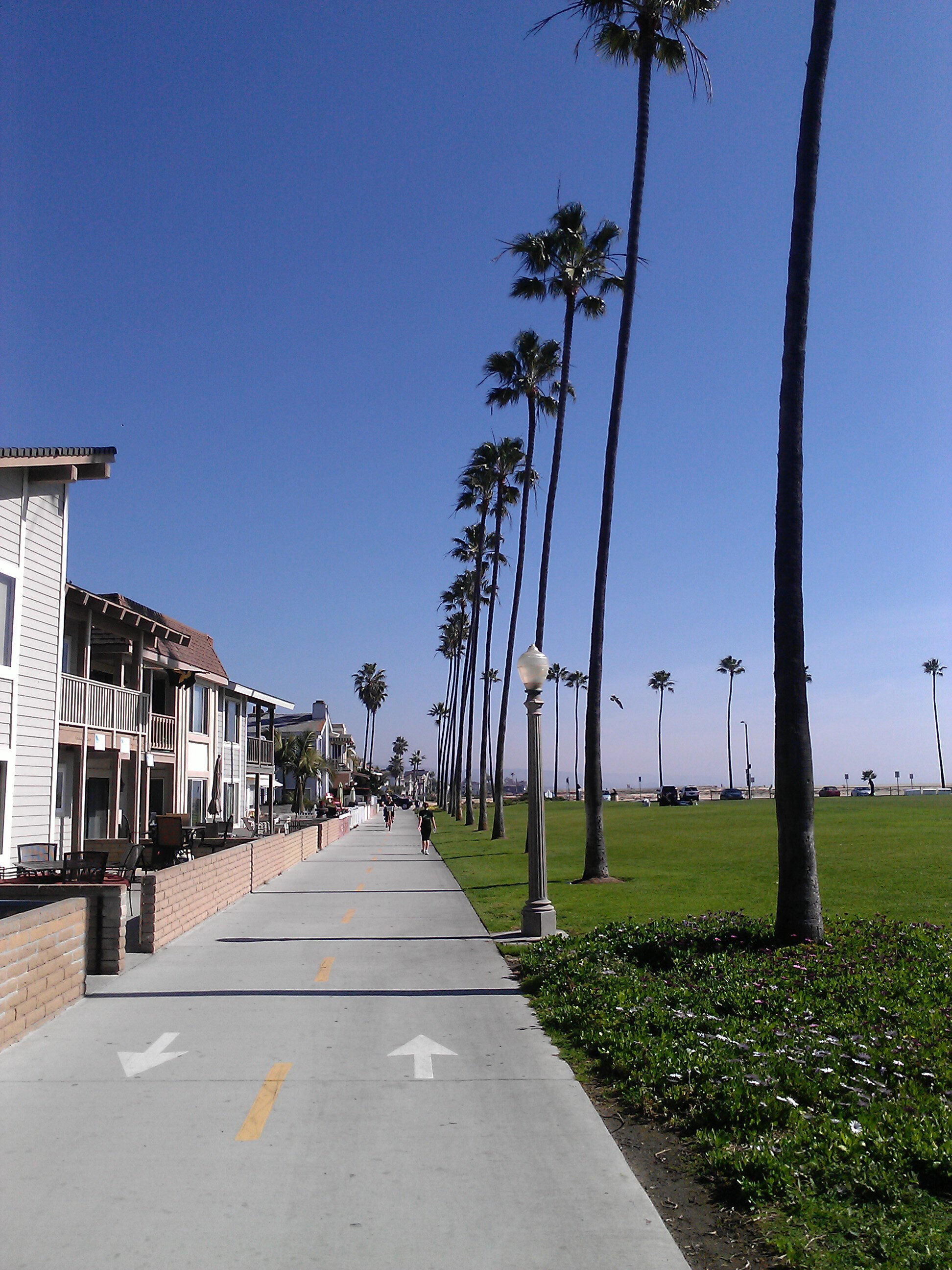 Opinion | Protect your fellow OC residents
