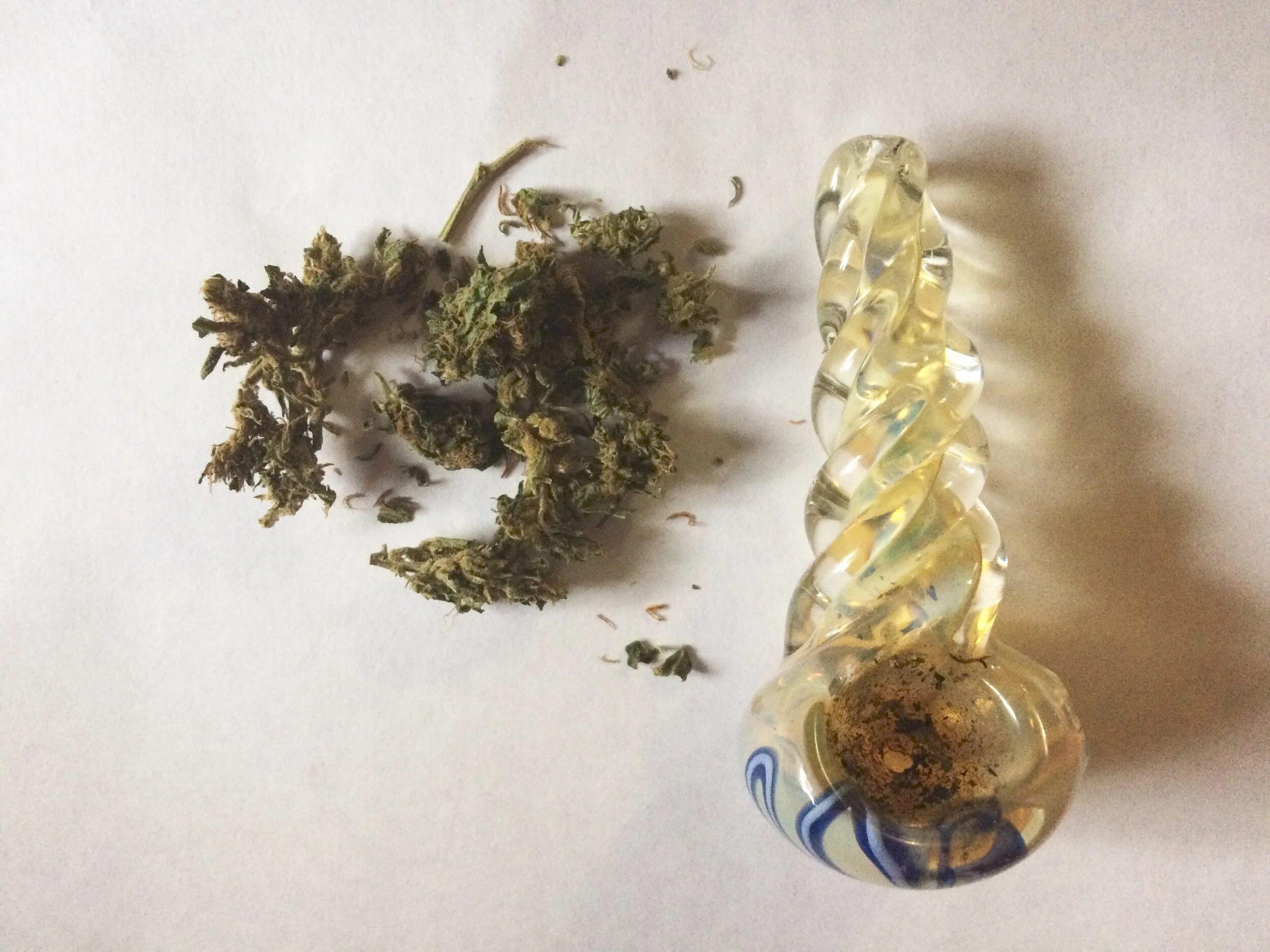 Chapman conduct code still bans marijuana despite projected legalization