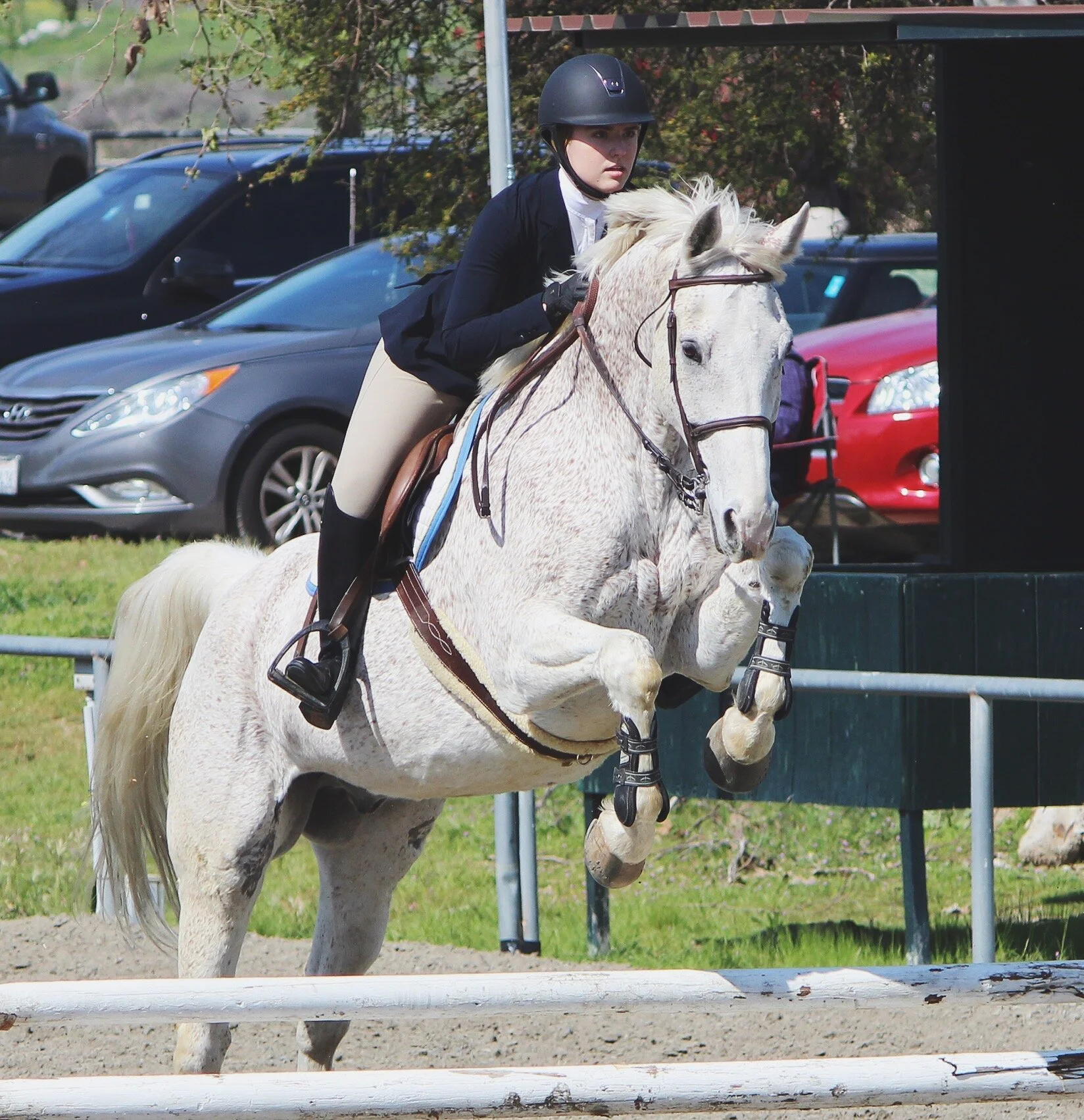 Students in the saddle: Equestrian team talks show culture