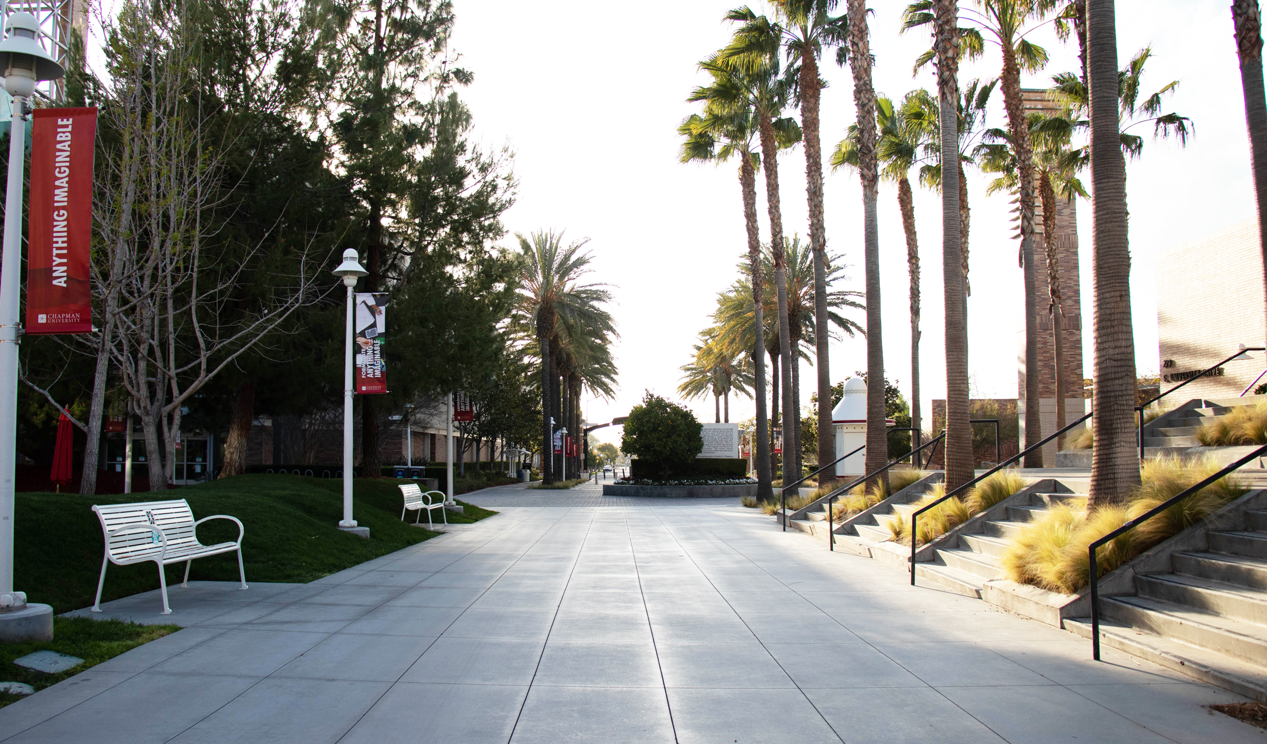Opinion | Chapman’s other plague preventing a successful campus return: entitlement