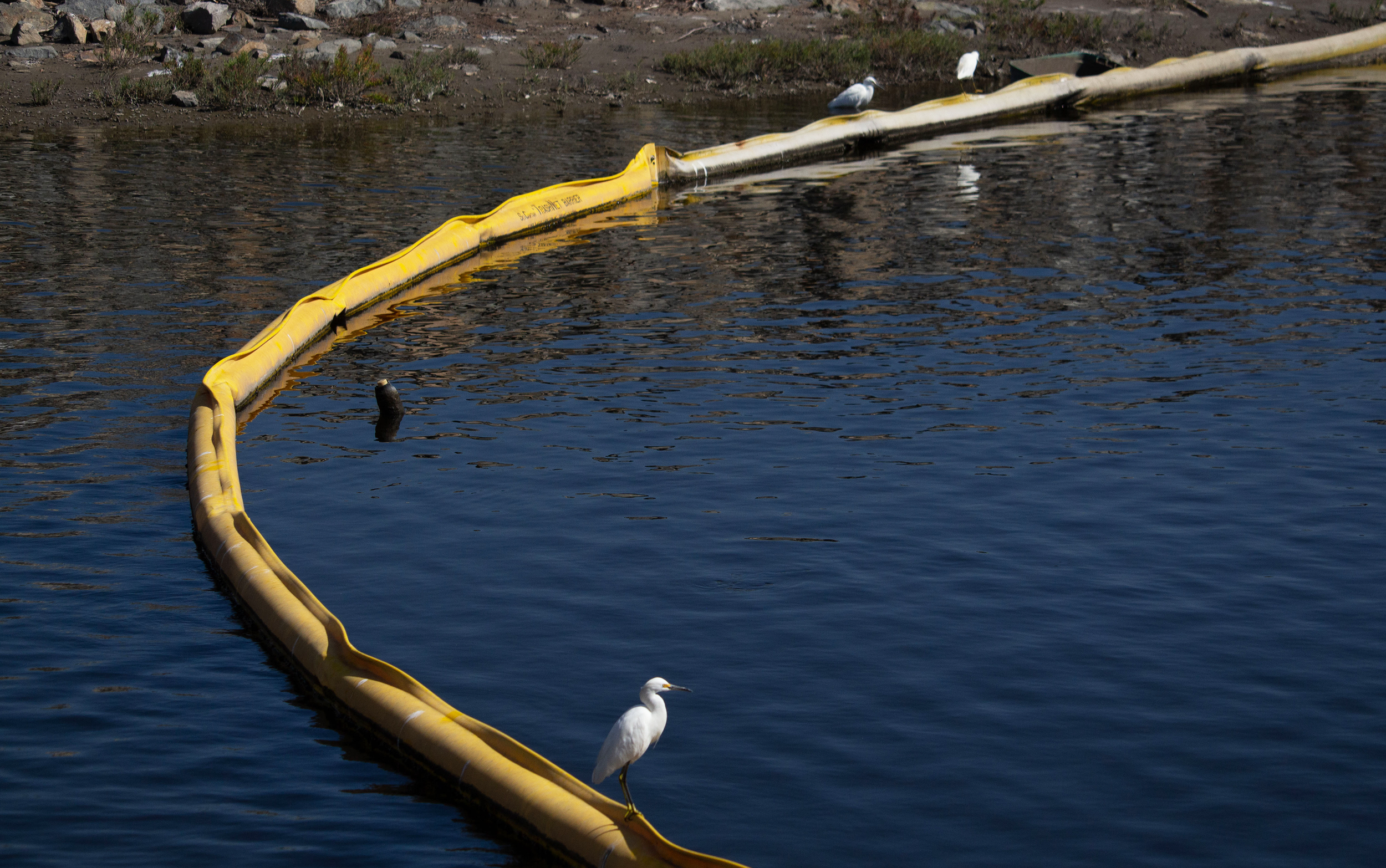 Huntington Beach oil spill rattles tourism, wildlife; storms complicate cleanup