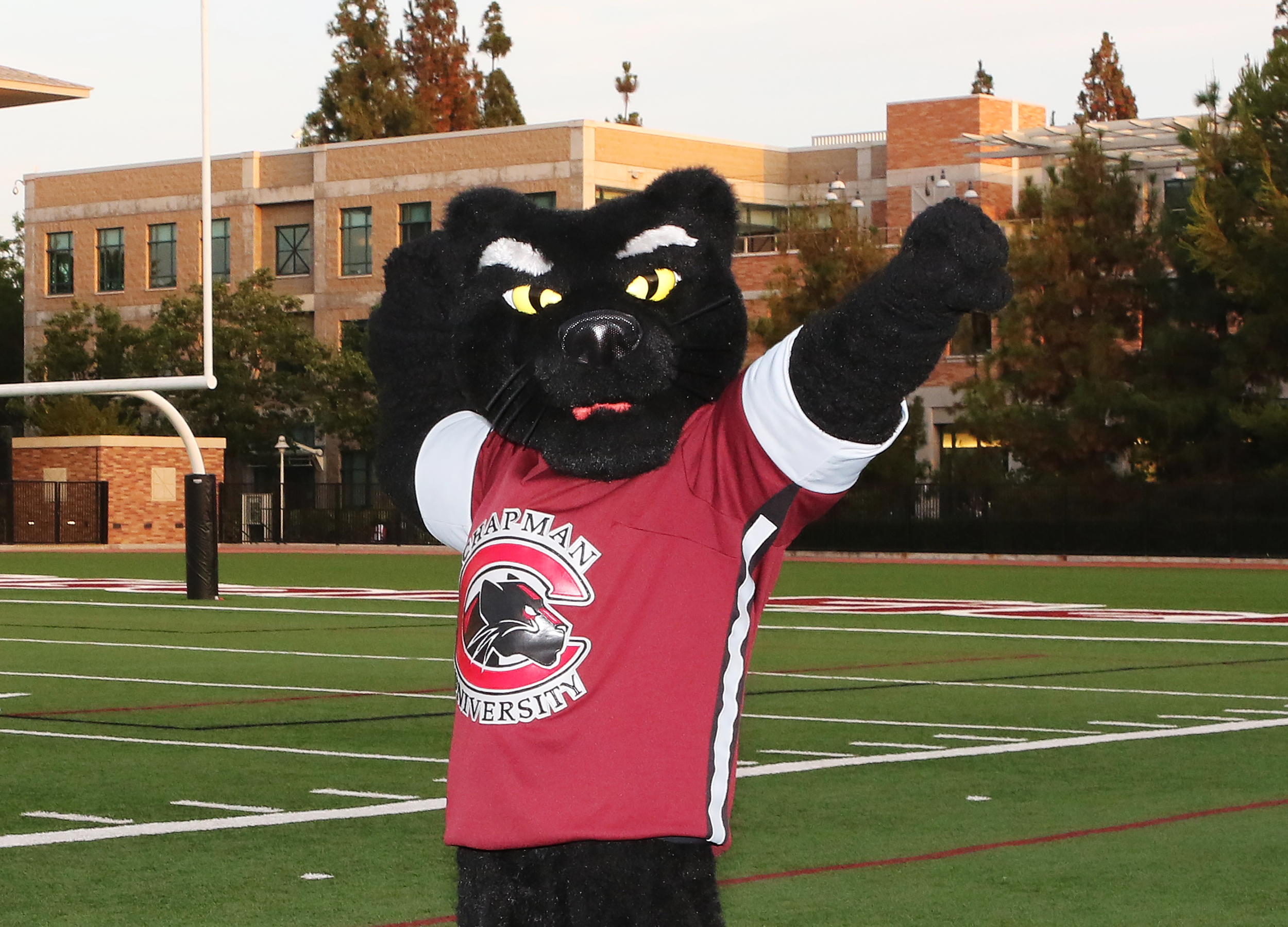 Tips for landing the role of Pete the Panther — The Panther Newspaper