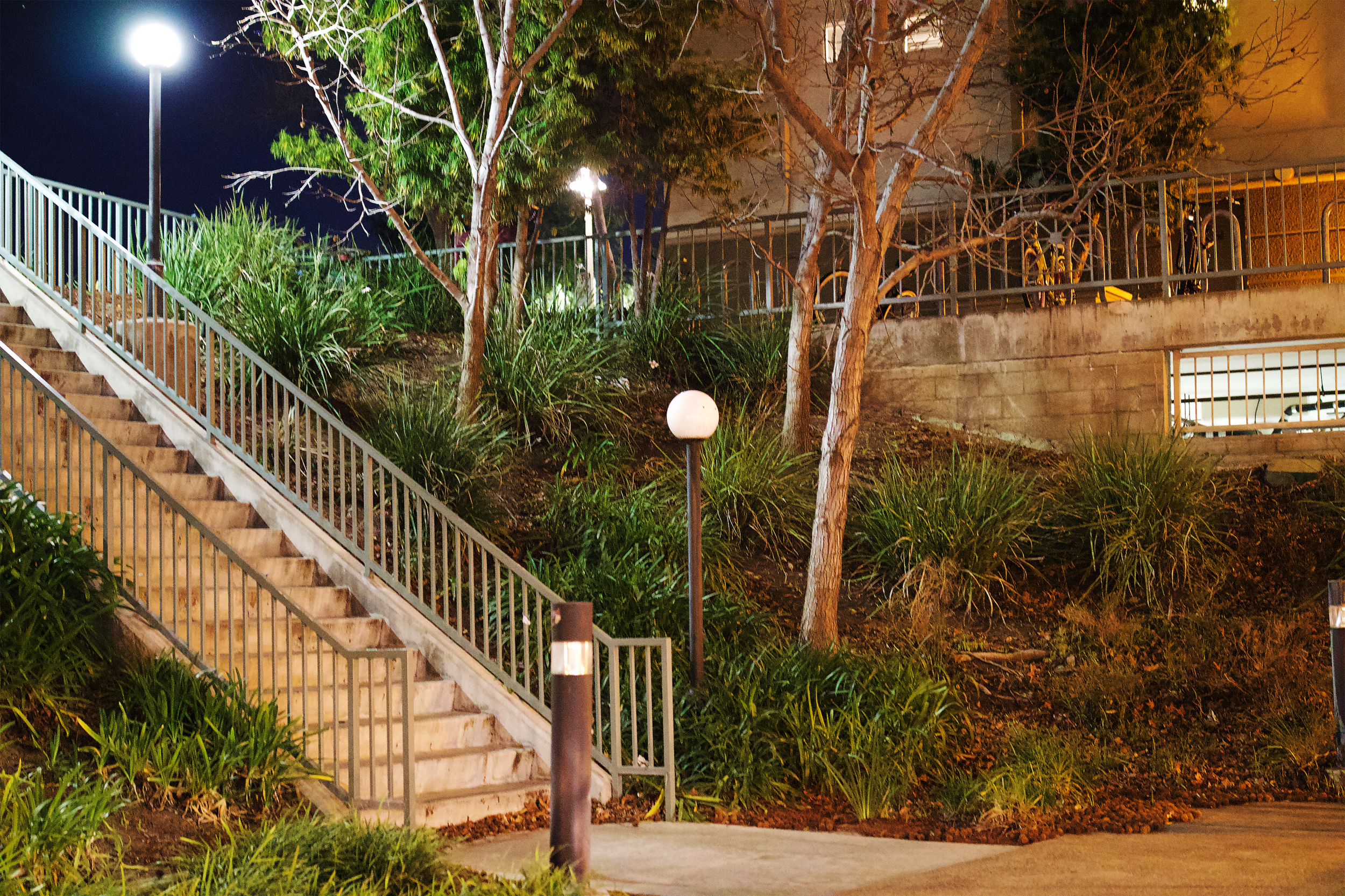 Lawyer alleges on-campus sexual assault is cover-up for hate crime