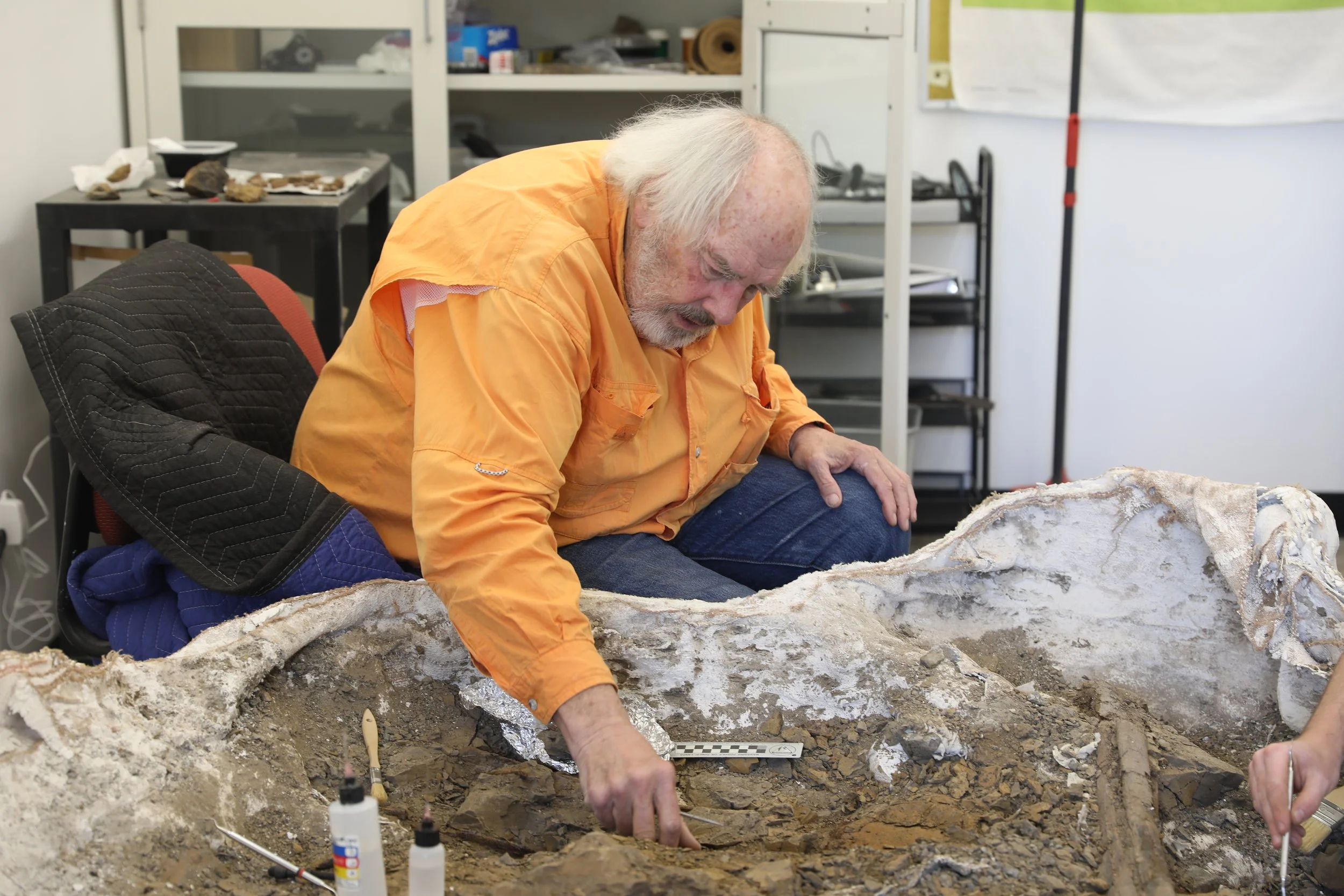 jack horner dino story.JPG