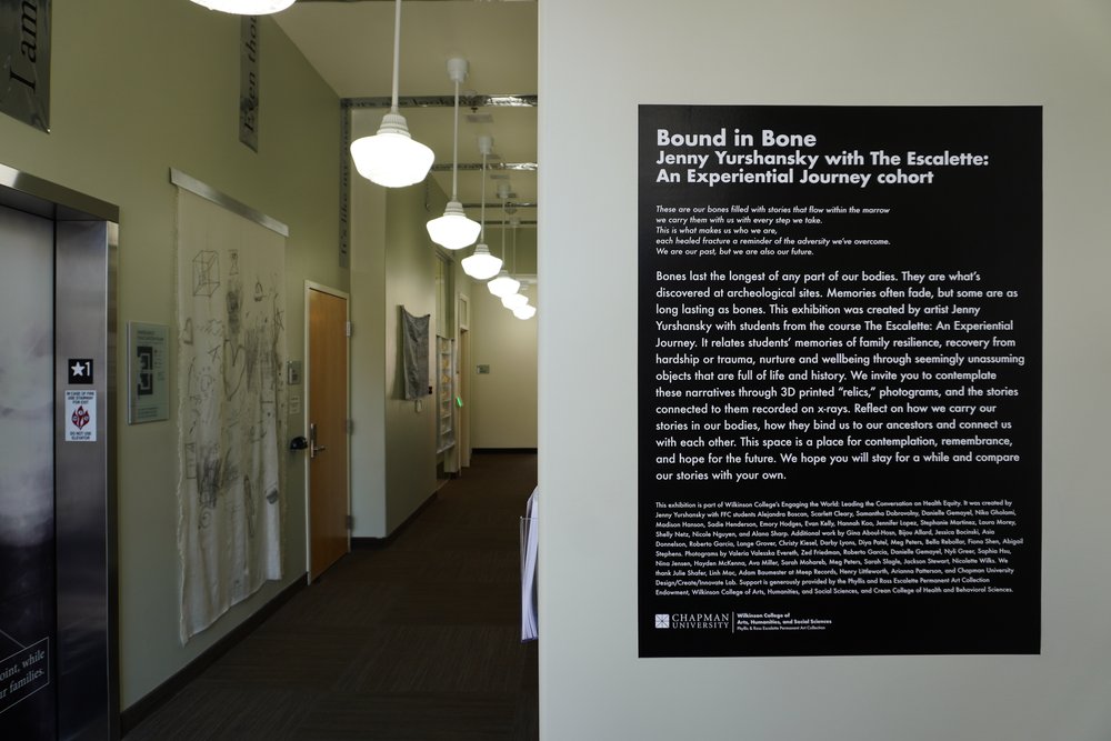   The exhibition, titled “Bound in Bone,” was organized by Yurshansky and Chapman professor Fiona Lindsay Shen. Photos by SIMRAH AHMAD, Staff Photographer  