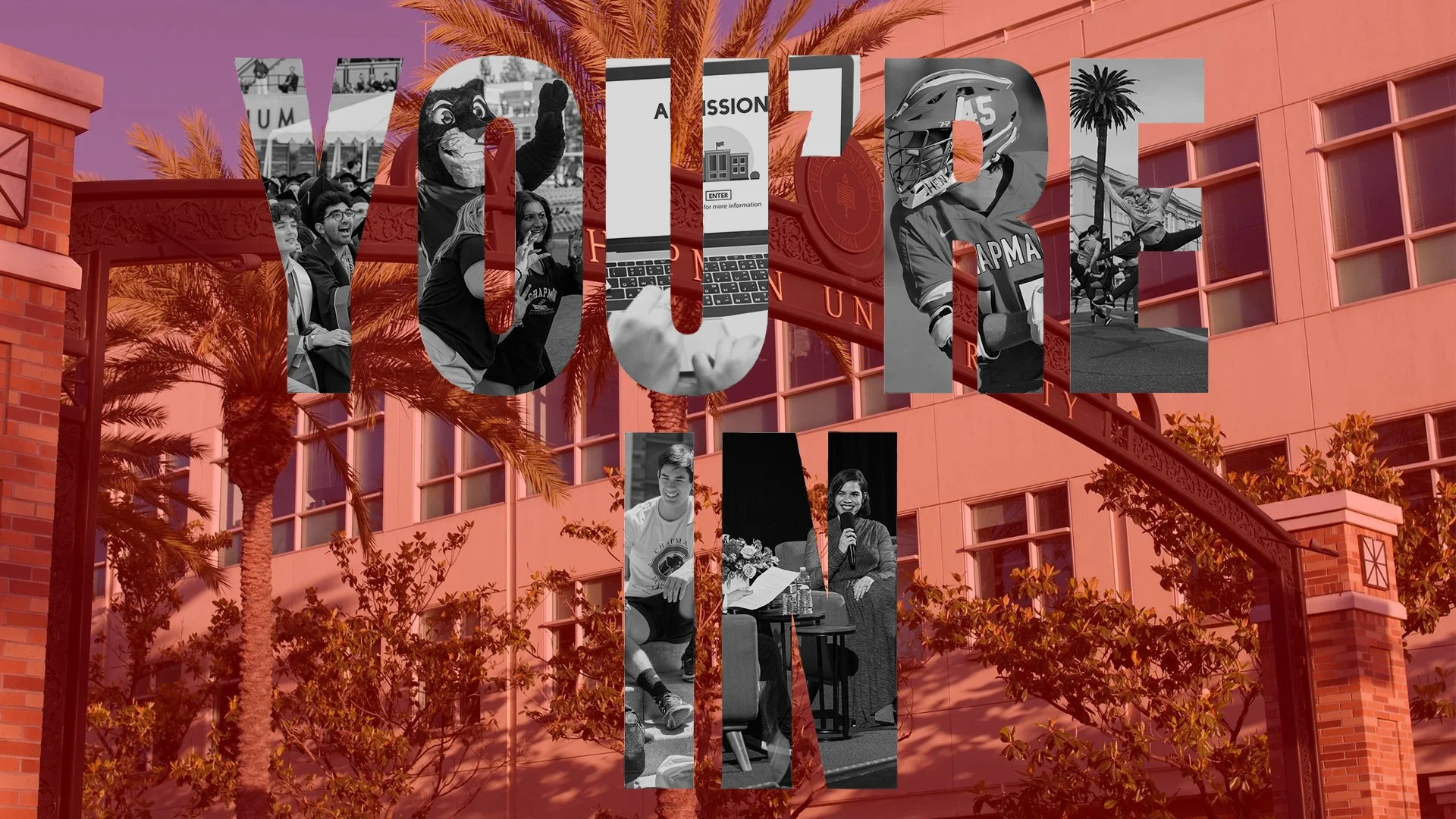 Test scores or test optional? Incoming students chart their own path