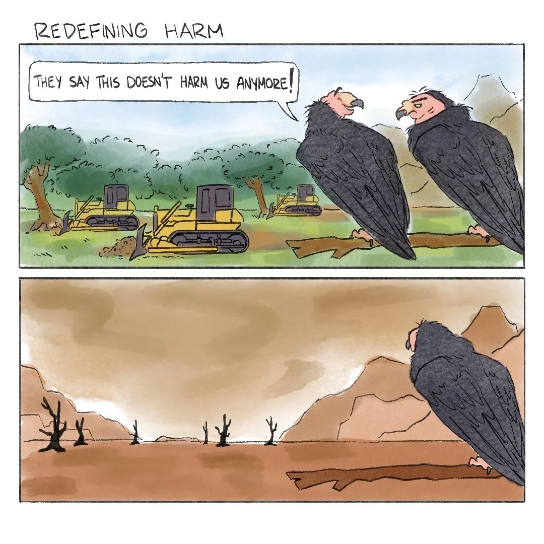 Two-panel cartoon: vultures joke beside bulldozers clearing a forest; below, barren land and dead trees suggest environmental destruction.