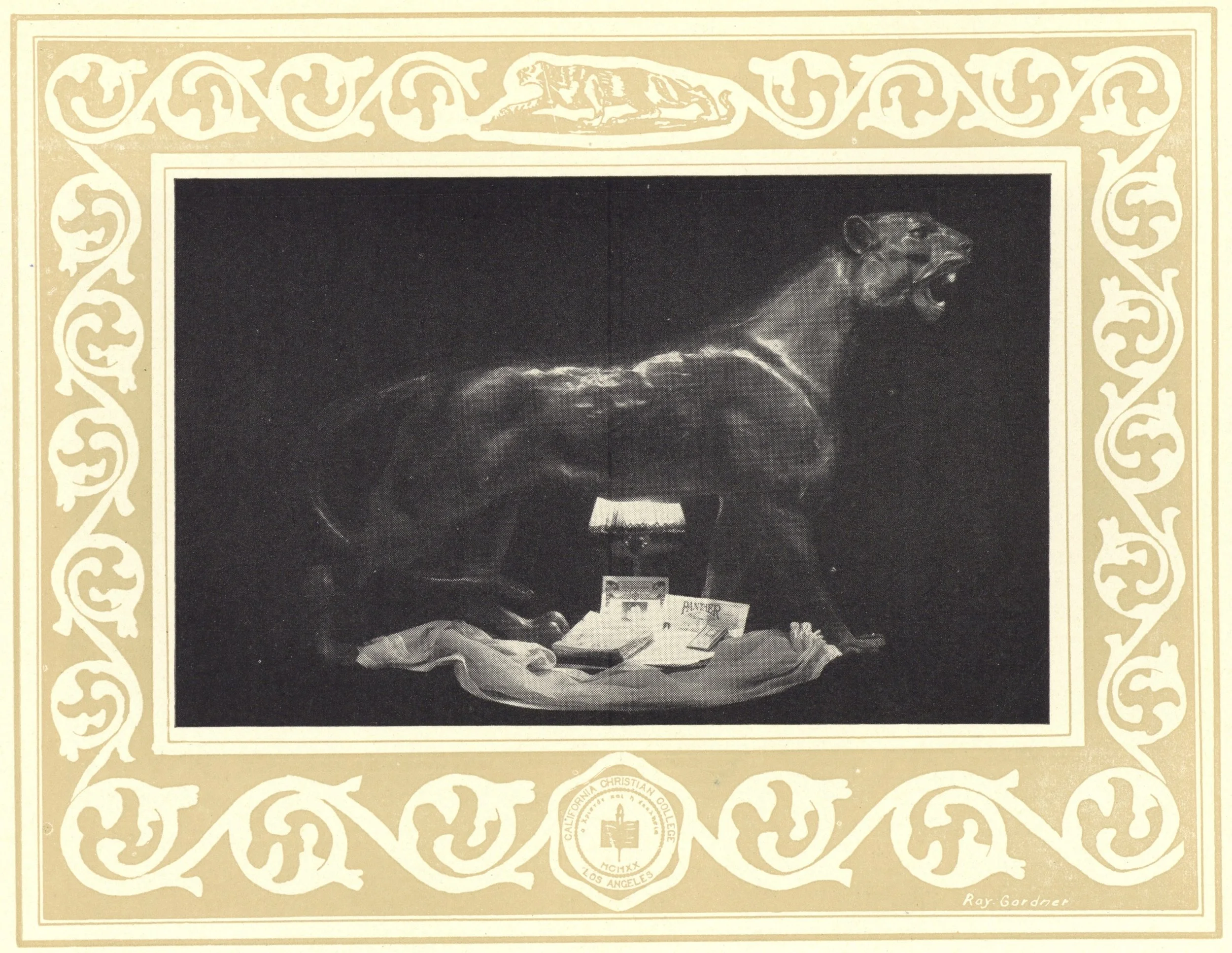 golf framed photo of a black panther
