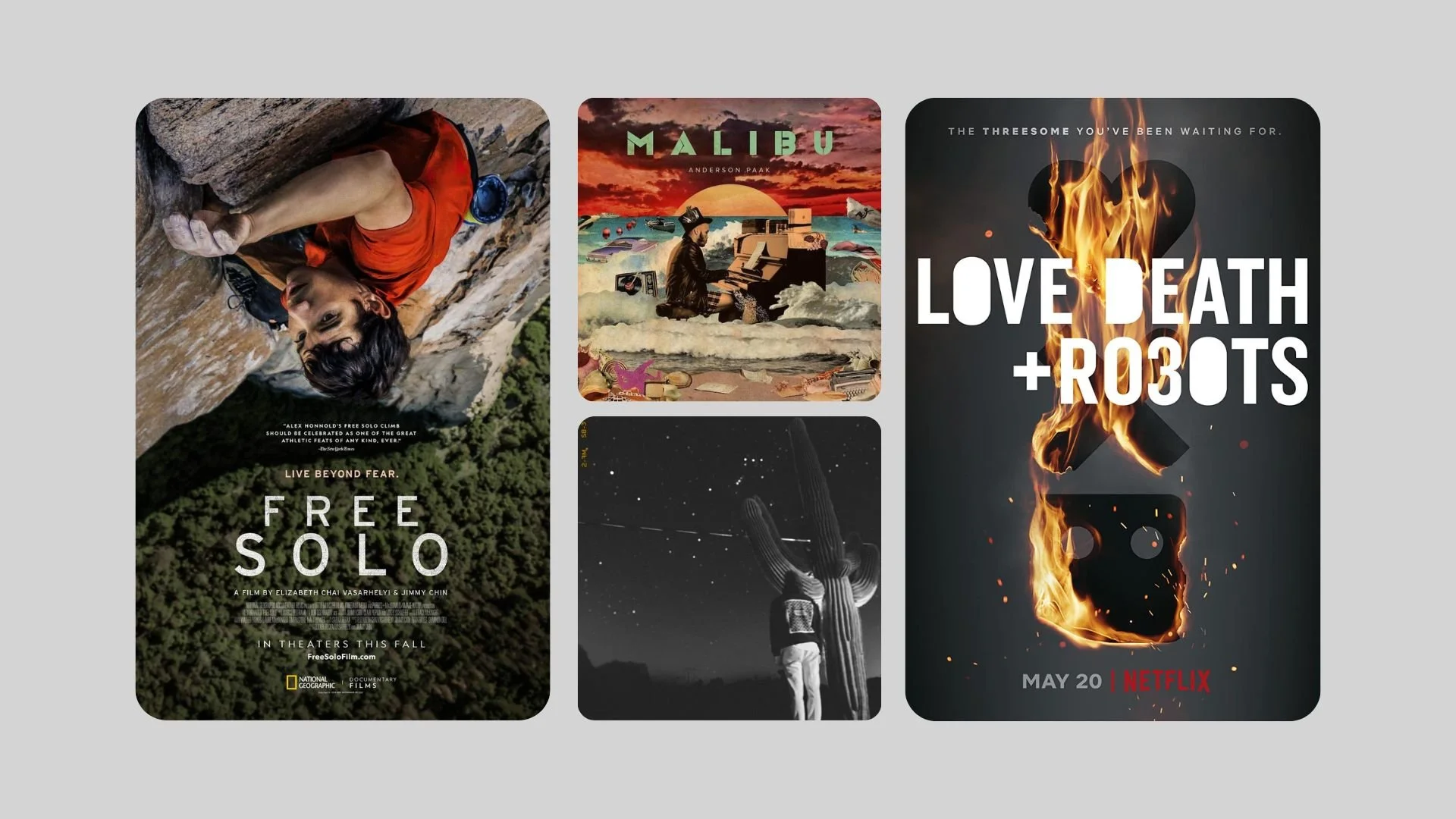 National Geographic Free Stream National Geographic Tv Online