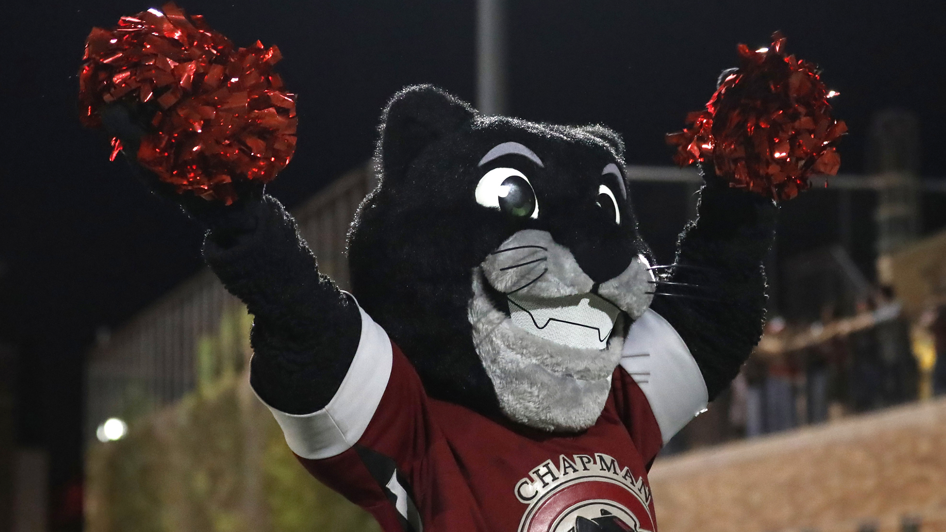 chapman university mascot