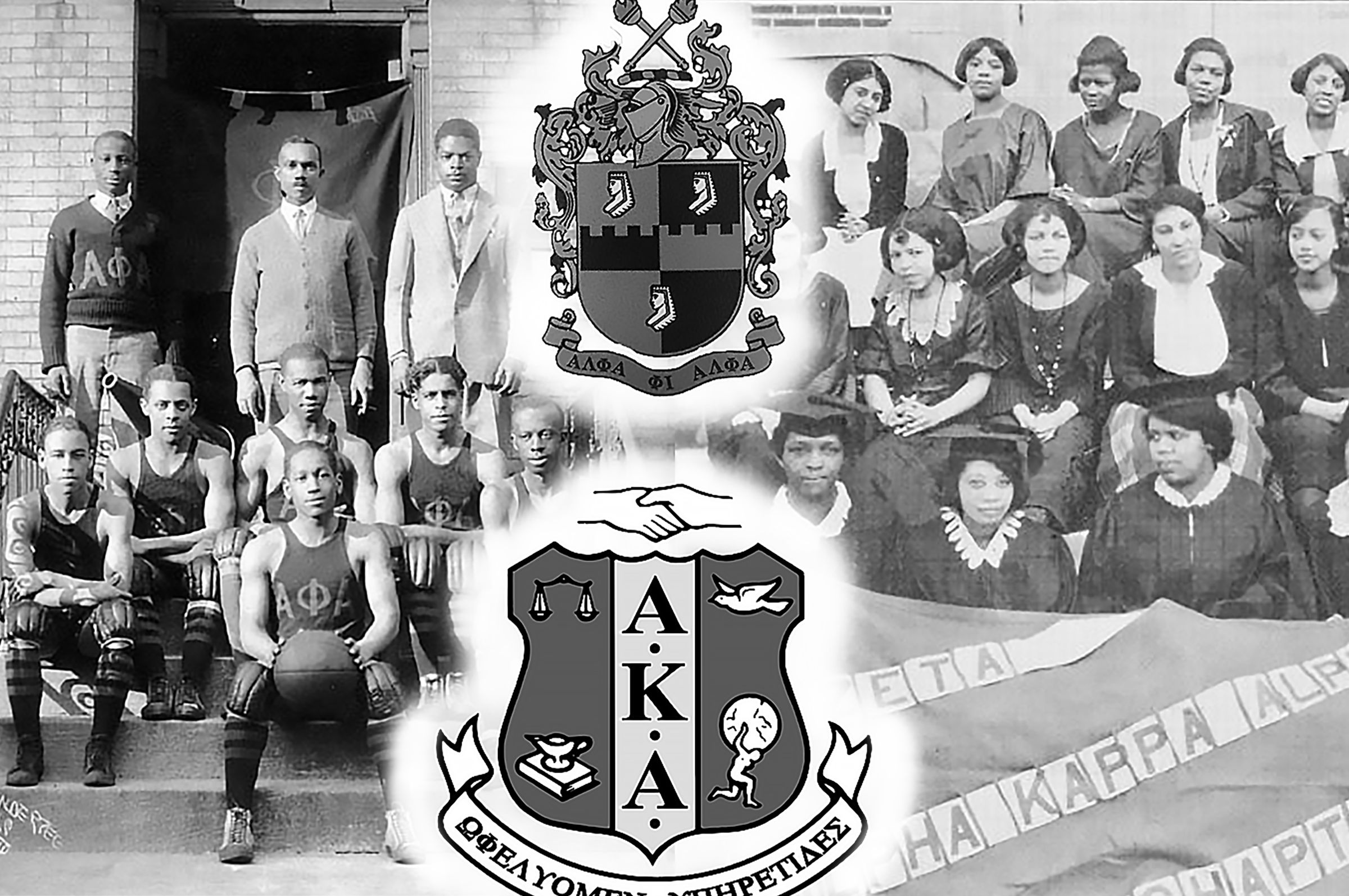 kampioen foto gewelddadig Alpha Kappa Alpha and Alpha Phi Alpha to be formally brought to campus next  academic year — The Panther Newspaper
