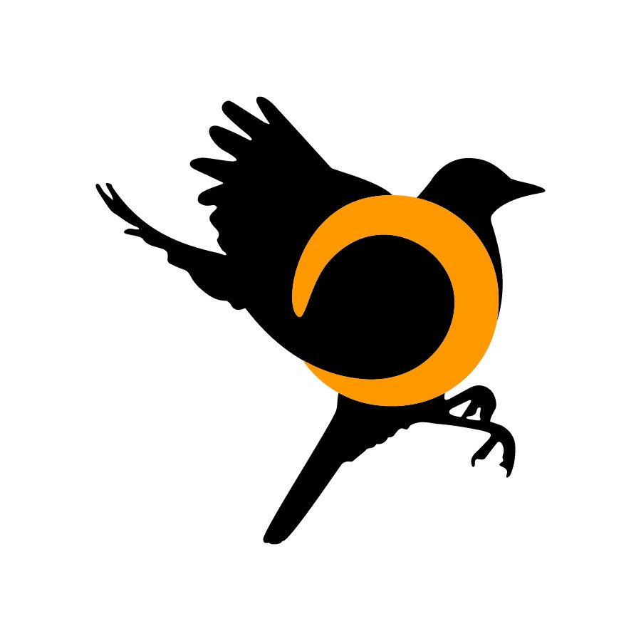 Welcome to our blog!