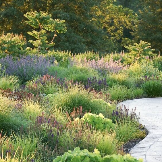 FEATURED LANDSCAPE STYLE⭐️⁠
⁠
Prairie style gardens can best be described as wild &amp; wooly 🌾🤗 ⁠
Drawing inspiration from the vast Midwestern grasslands, many prairie-style gardens include various native grasses 🌾 and perennial wildflowers🌼🪻. 