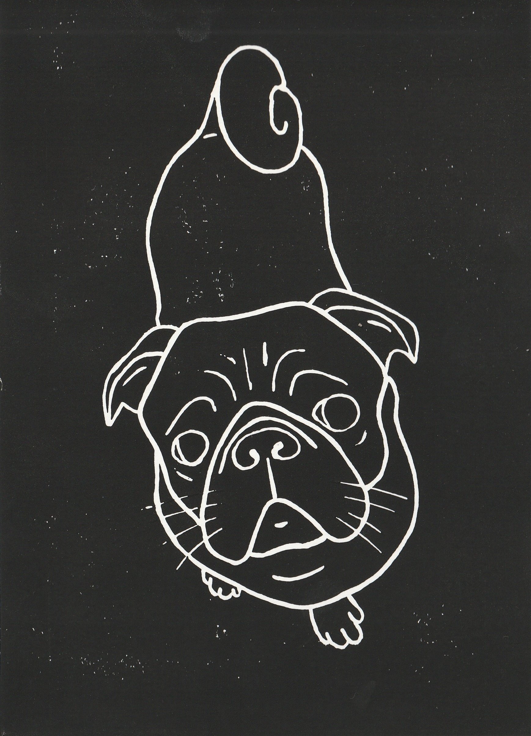 gold line art of bulldog or pug dog head. Good... - Stock Illustration  [76706192] - PIXTA