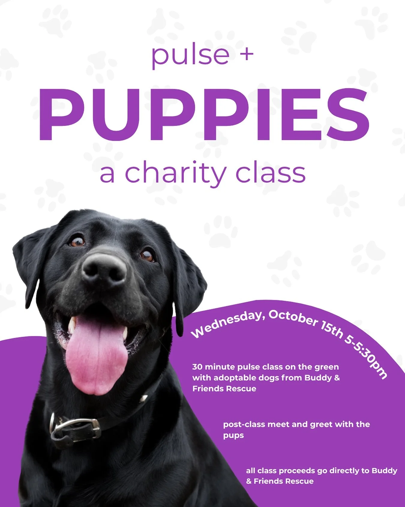 Are you SERIOUS??!!! Pulse + puppies 
SAY LESS 🤩 🐶 

Book it- all ticket sales go to @buddyandfriendsar rescue and if you come home with a new best friend even better 💜💜🥰

#rescuedog #animalrescue #puppyfitness