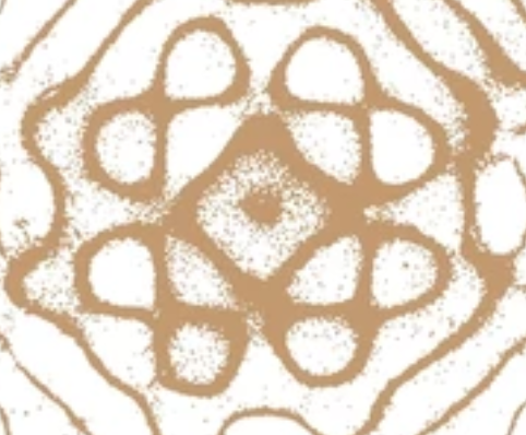 Screenshot 2025-03-20 at 11.40.10.png