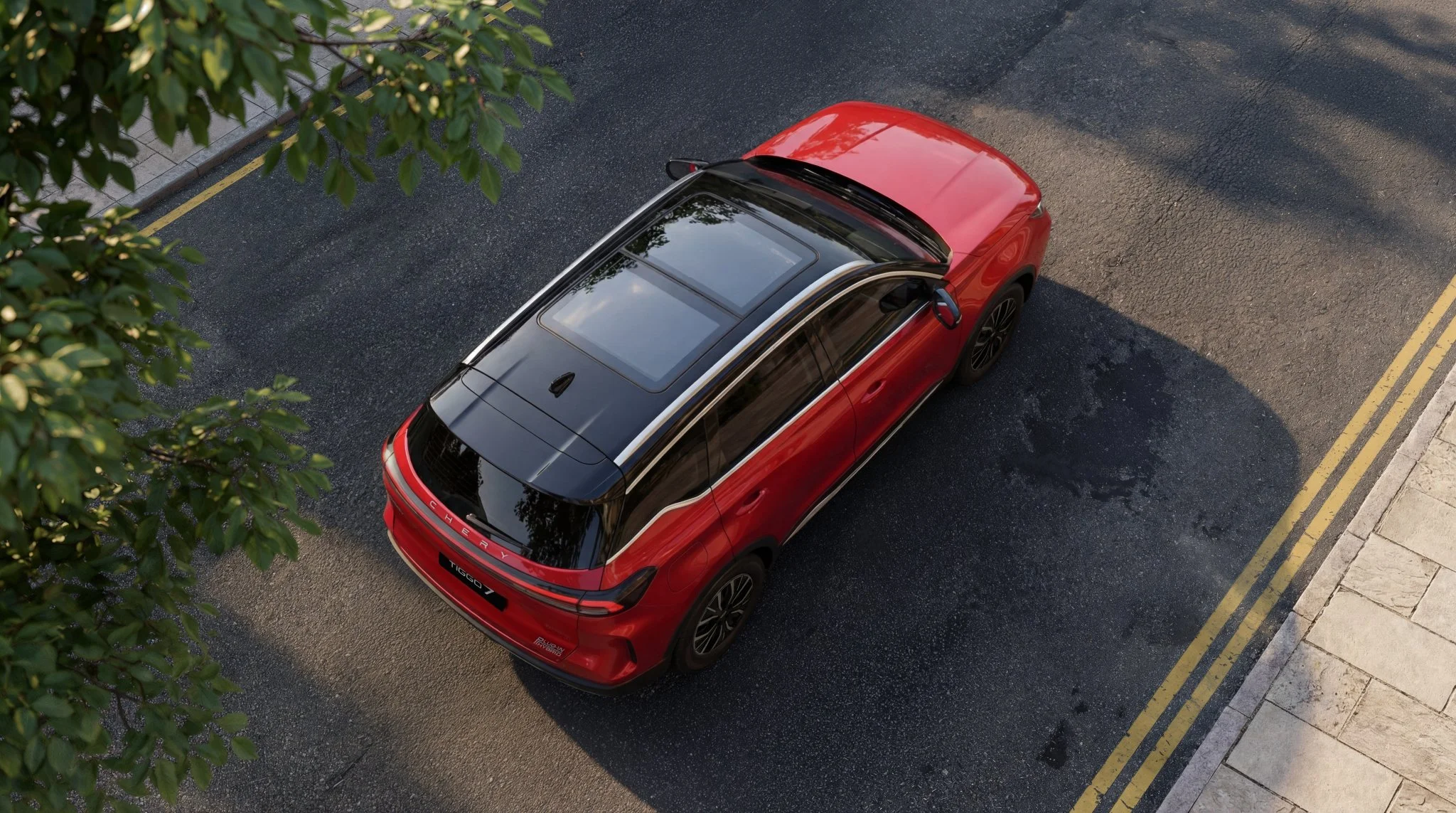 T7 top down V2 4.jpg