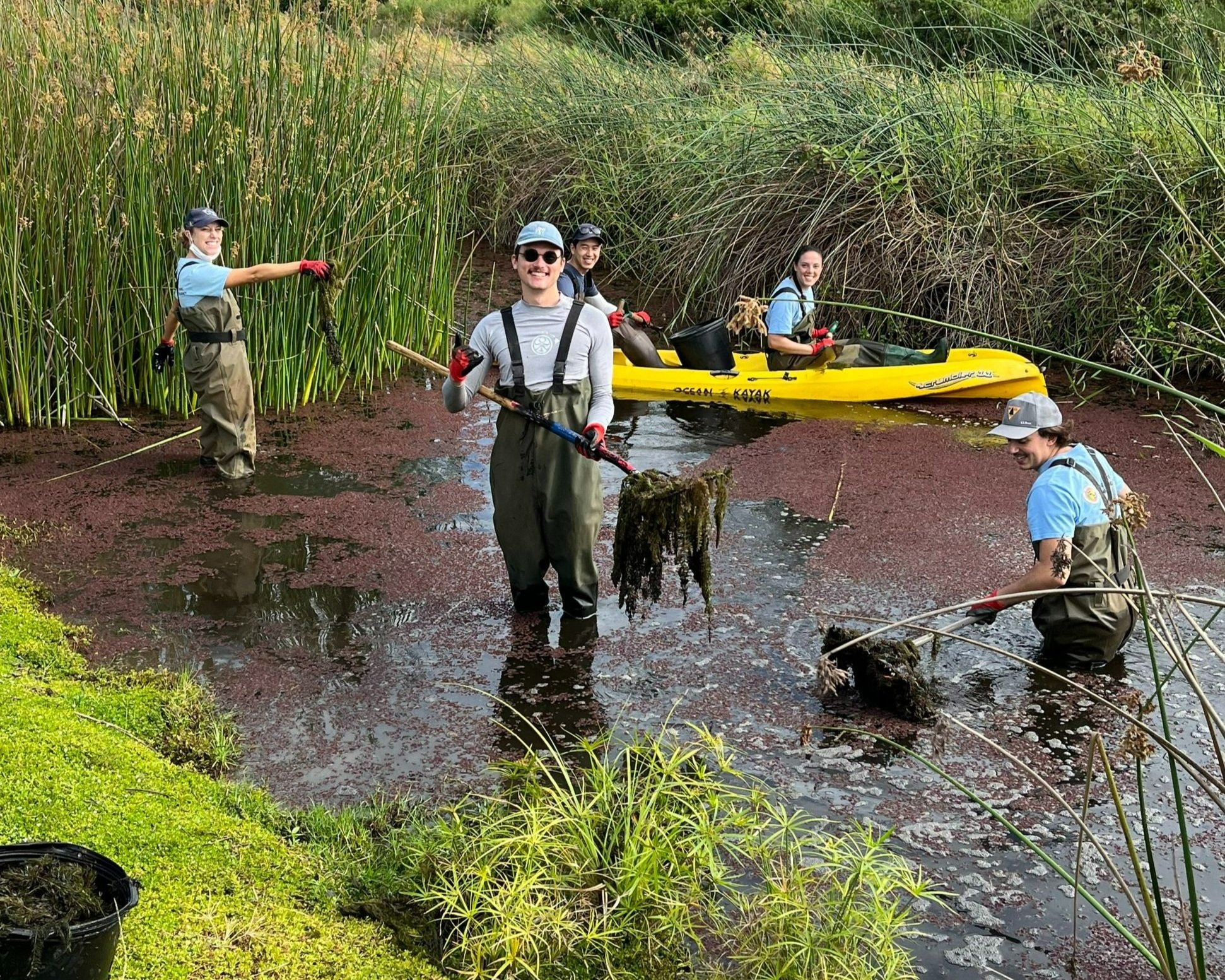 Kawainui Marsh