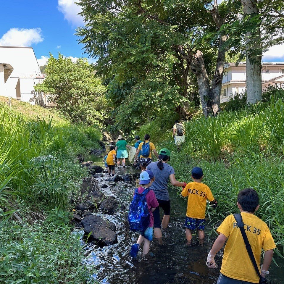  Mālama Mānoa and Cub Scouts from Pack 35 picked up six bags of rubbish at Mānoa stream through the Department of Facility Maintenance Storm Water Quality Division (SWQ)  Adopt-A-Stream  program. Photo Credit: SWQ 