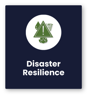 Disaster Resilience front card