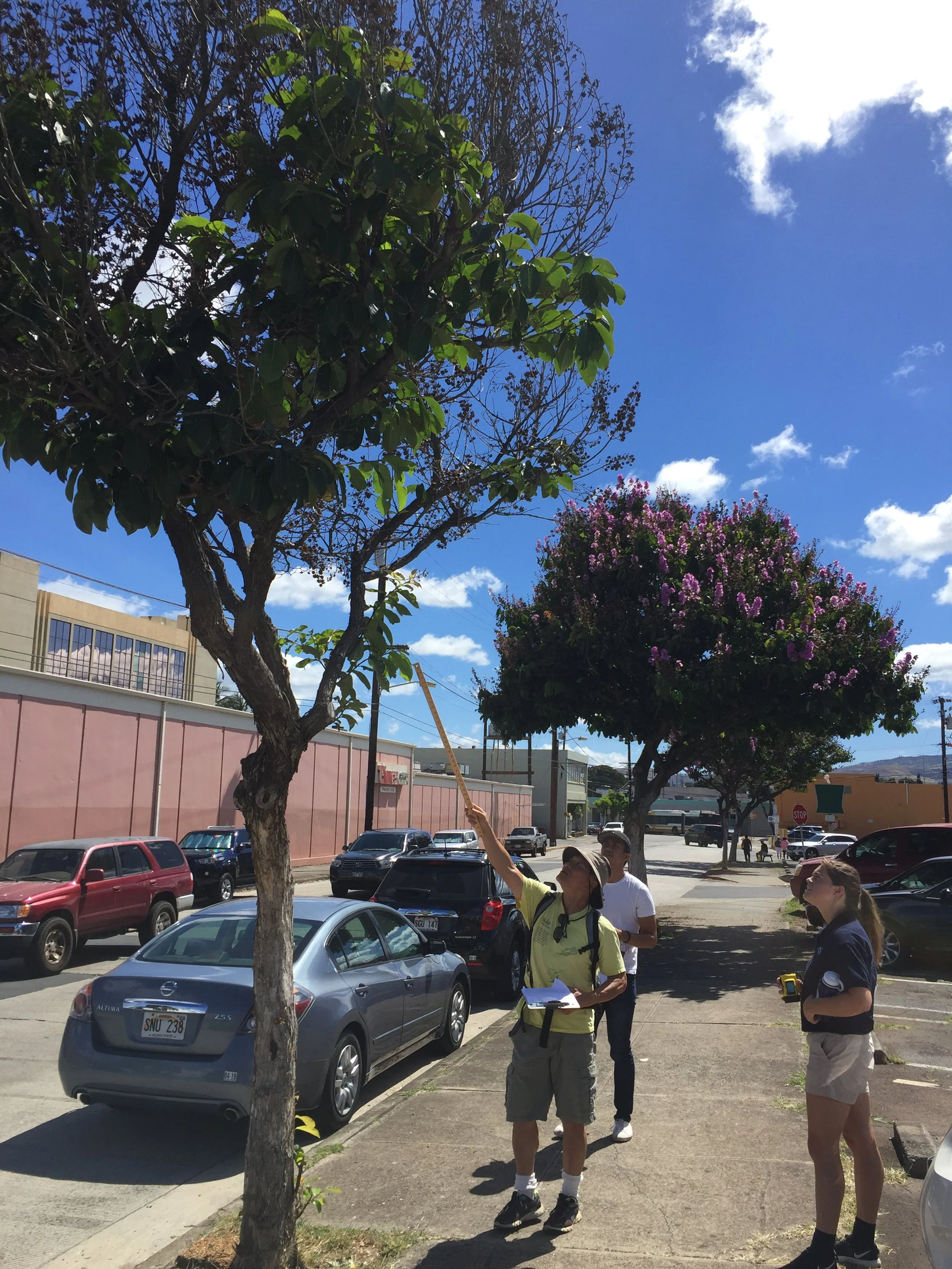 Climate Adaptation — Resilience Office - City and County of Honolulu ...