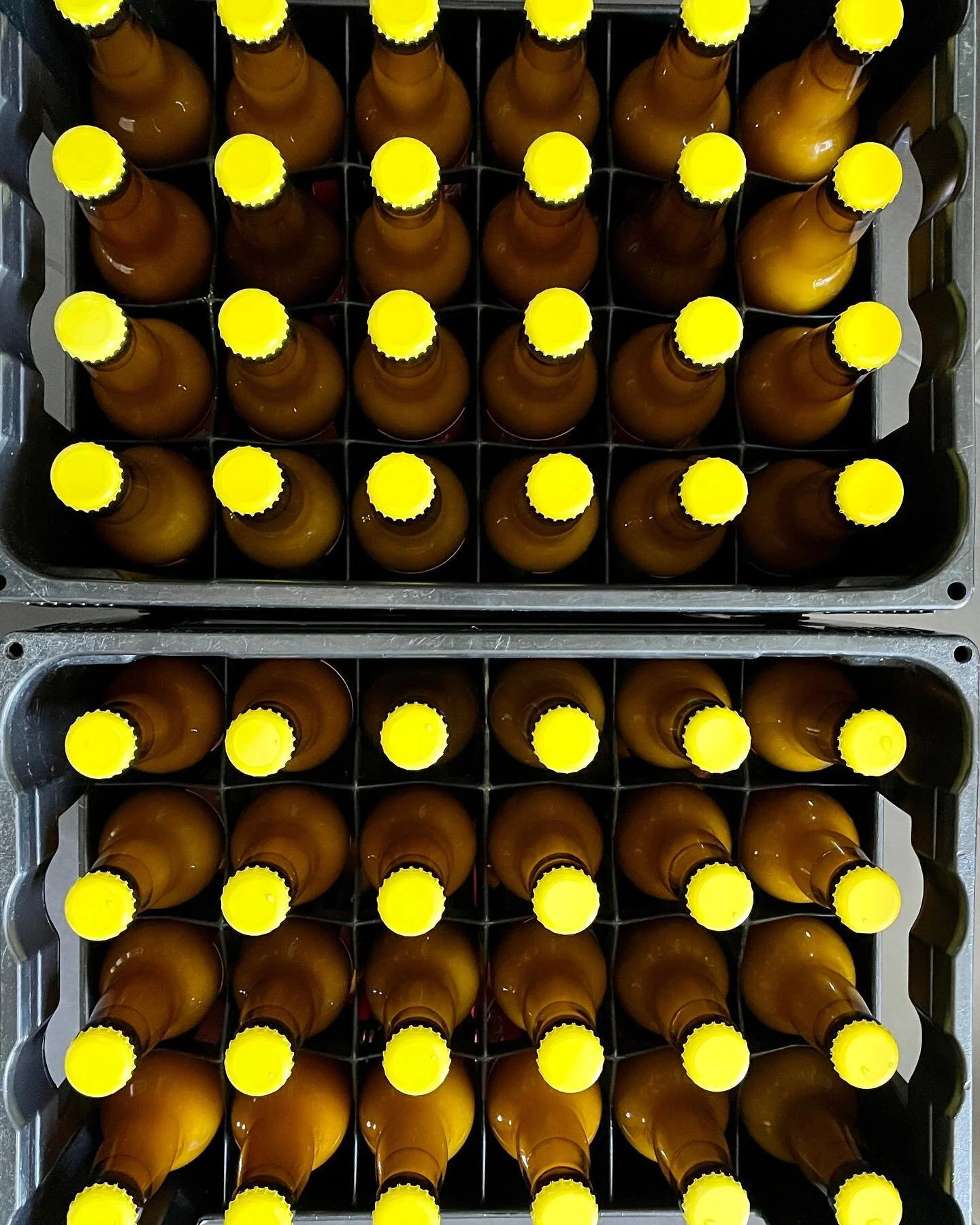 Mango Haze in the making 🥭🌾
Get ready for a tropical delight in every sip. Our Hazy Mango Pale Ale combines the smooth haze of a pale ale with the luscious sweetness of ripe mangoes. 🍻 Dry-Hopped with Solero, Zamba, and Citra Hops! 🌿

#HazyMangoP