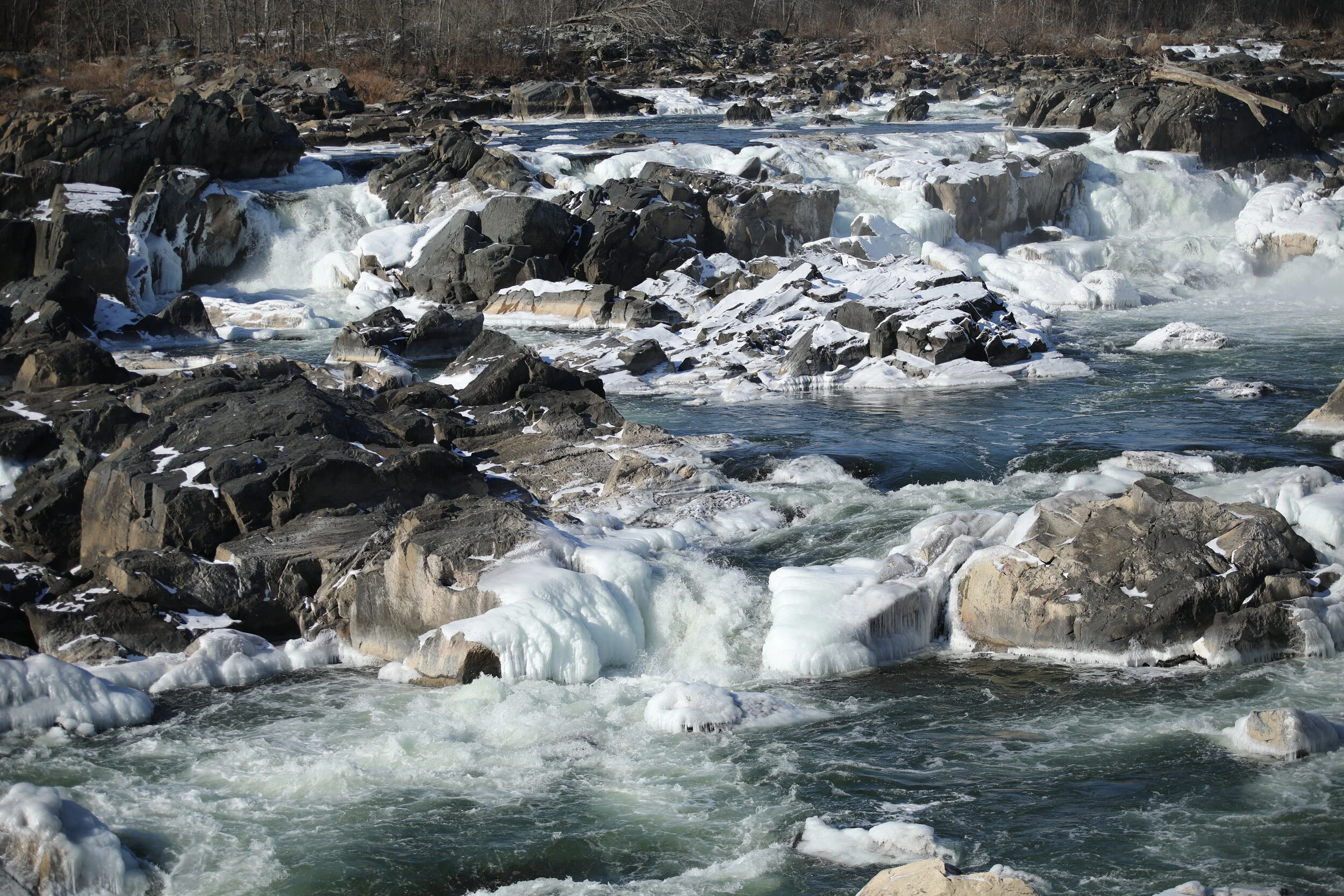 6D9A4555.JPG
