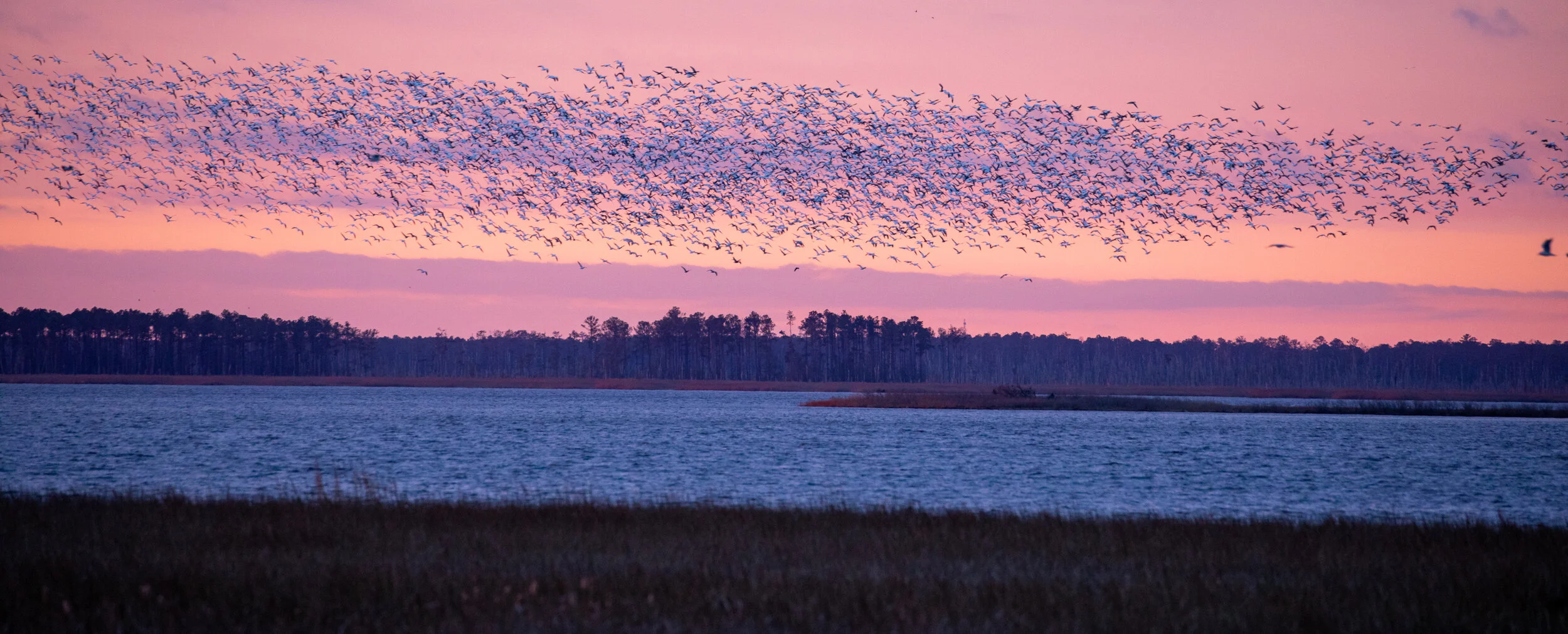 Blackwater Jugs Bay-7.jpeg