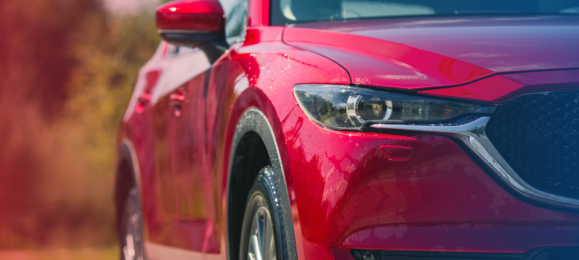 Drive Your Dream Car for Less