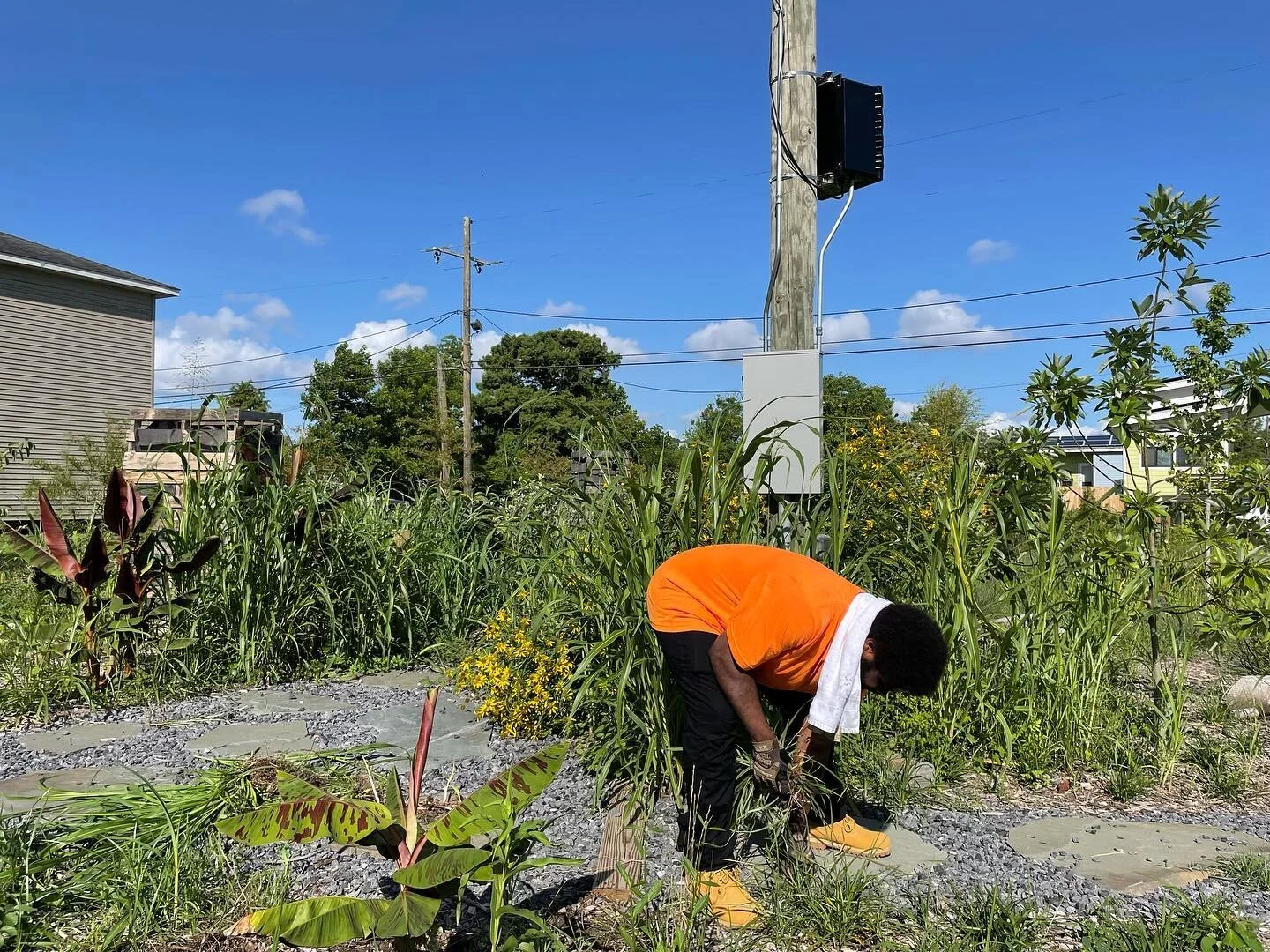 Prospect New Orleans