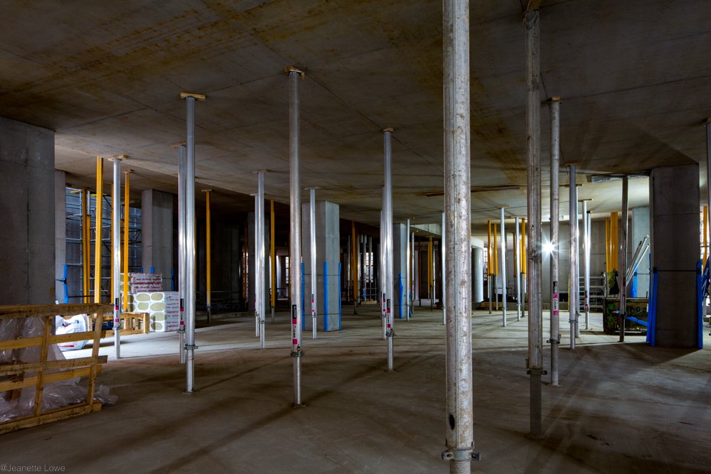 Jeanette Lowe ESB Fitzwilliam Project-8875.jpg