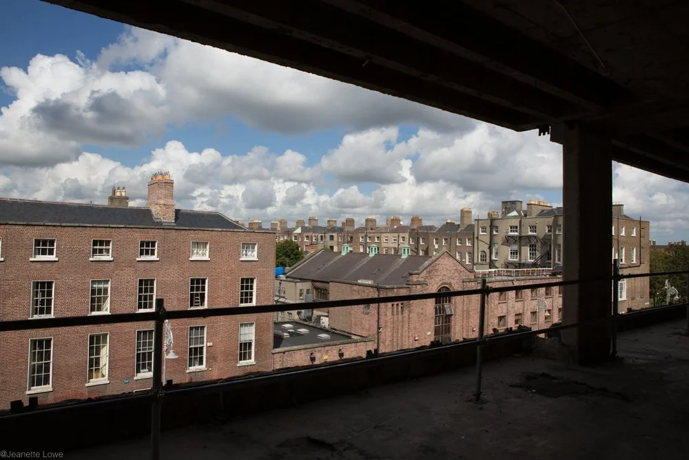 Jeanette Lowe ESB Fitzwilliam Project-5613.jpg