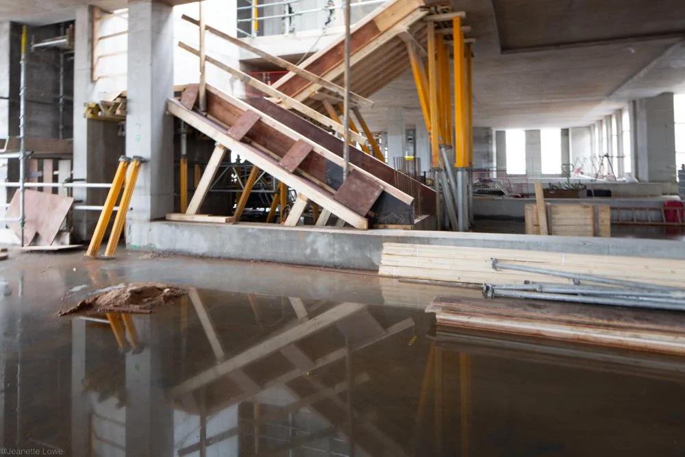 Jeanette Lowe ESB Fitzwilliam Project-2790.jpg