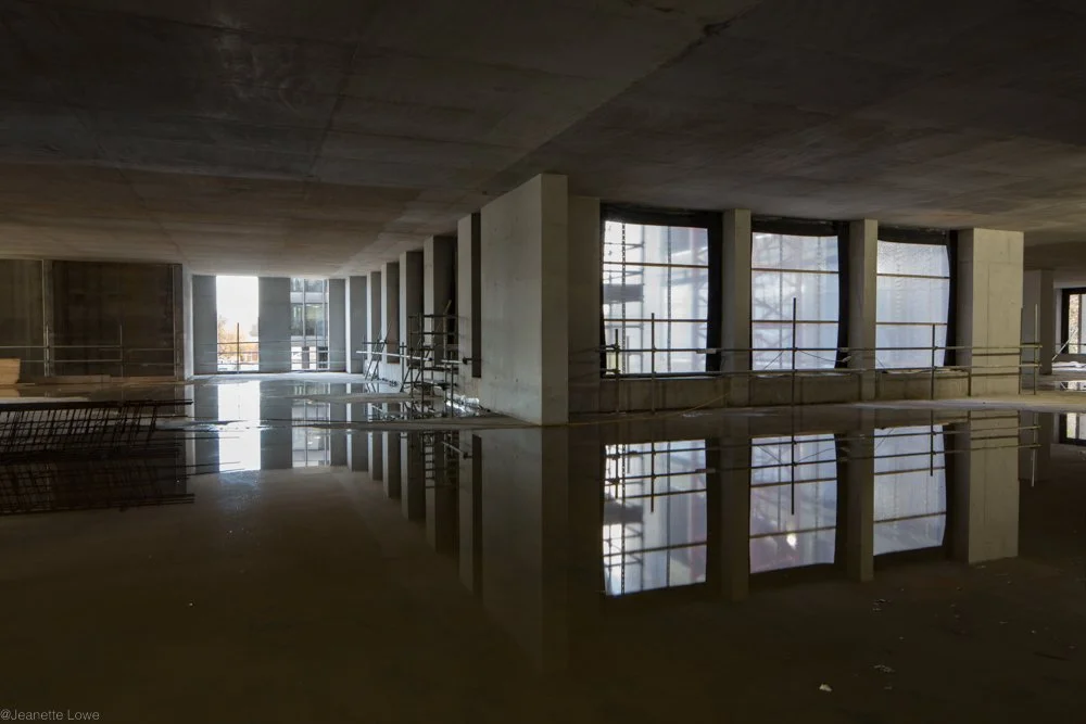 Jeanette Lowe ESB Fitzwilliam Project-0196-2.jpg