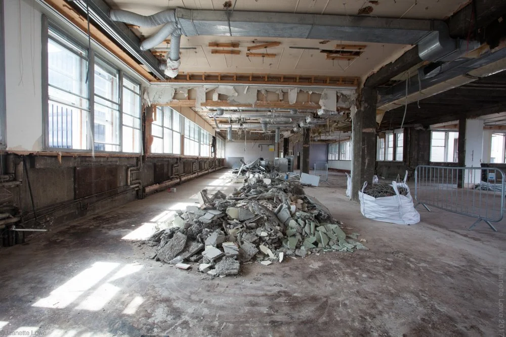 Jeanette Lowe ESB Fitzwilliam Project-2761.jpg