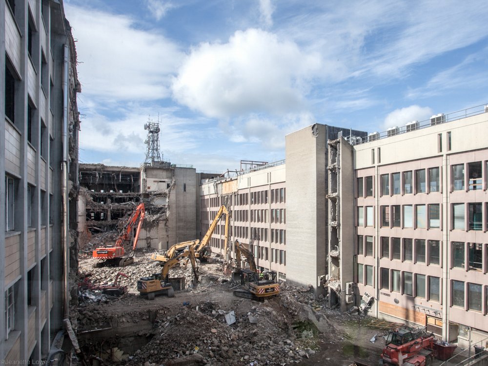 Jeanette Lowe ESB Fitzwilliam Project--2.jpg