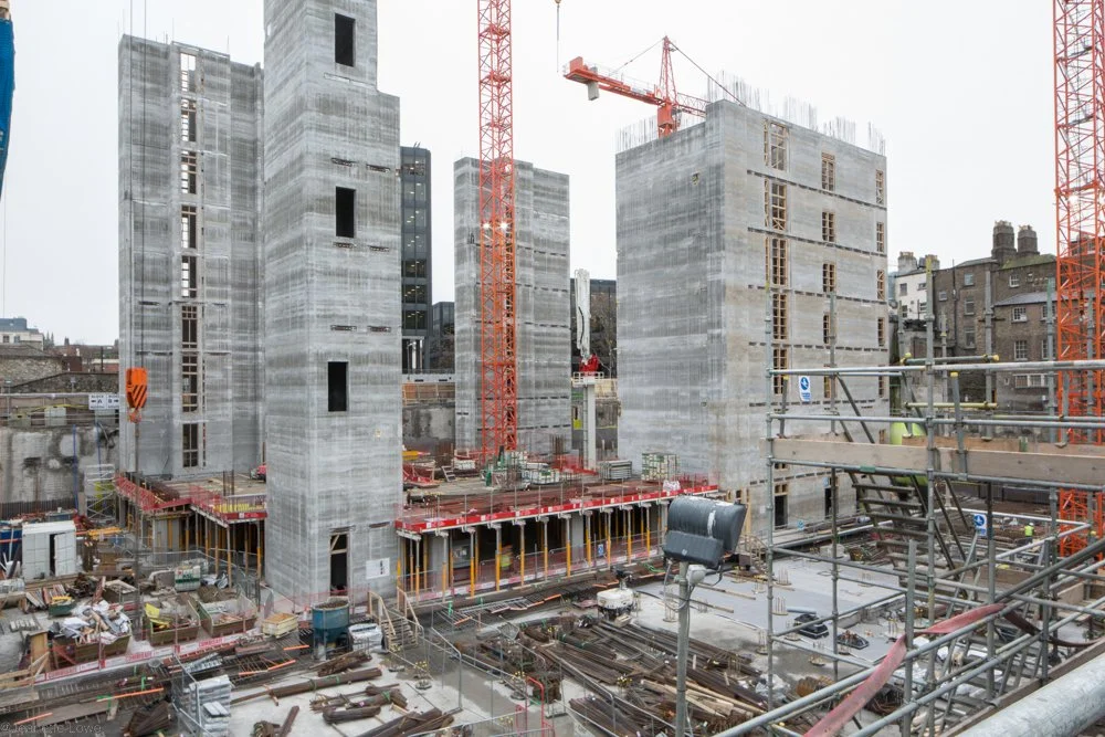 Jeanette Lowe ESB Fitzwilliam Project-0195.jpg