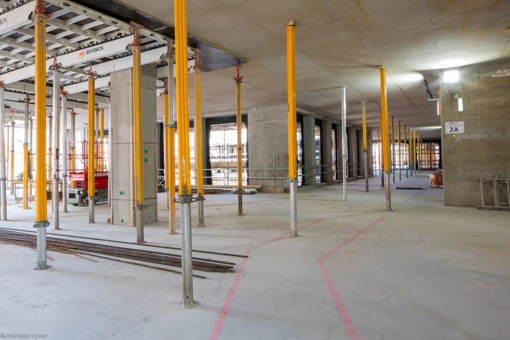 Jeanette Lowe ESB Fitzwilliam Project-0151.jpg