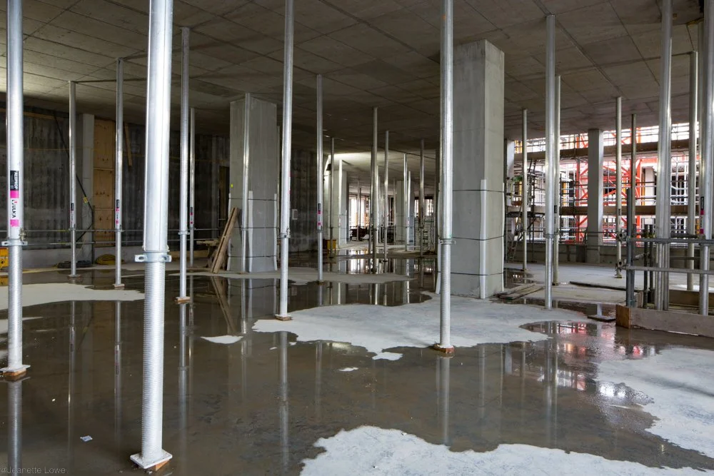 Jeanette Lowe ESB Fitzwilliam Project-0059-2.jpg