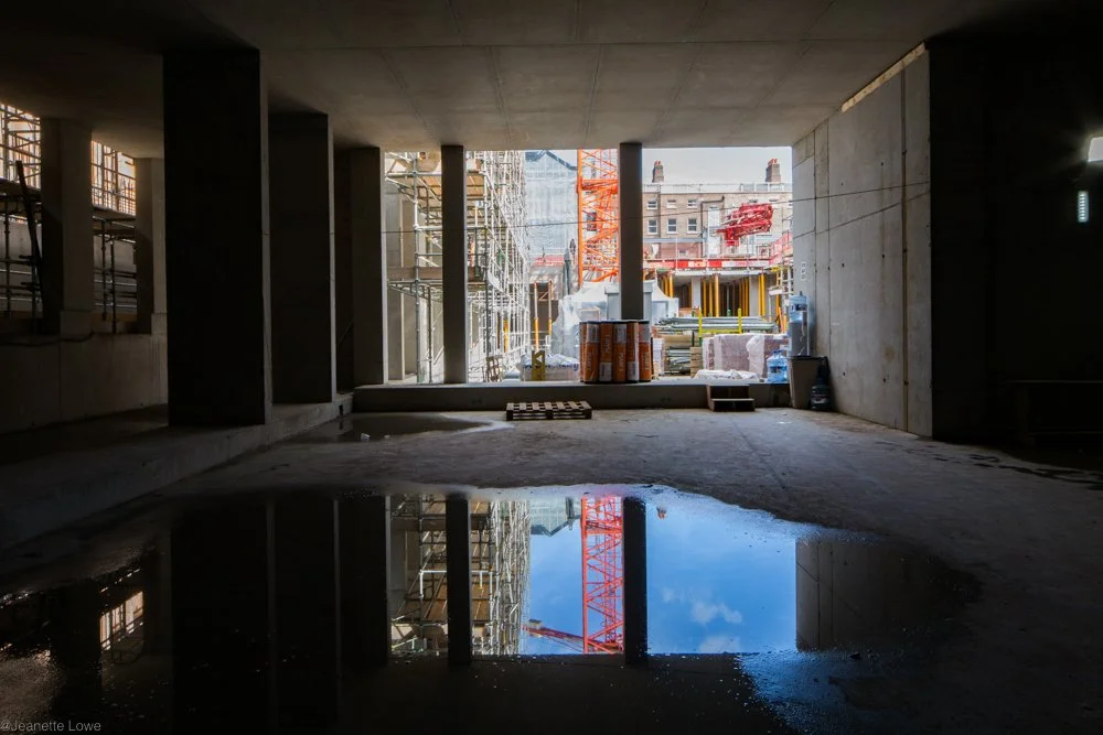 Jeanette Lowe ESB Fitzwilliam Project-0279.jpg