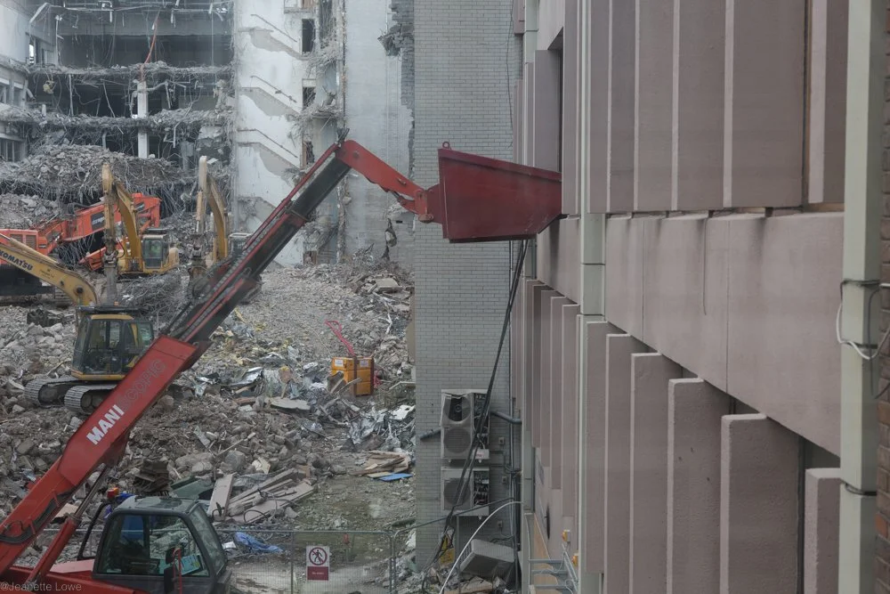 Jeanette Lowe ESB Fitzwilliam Project-5709.jpg