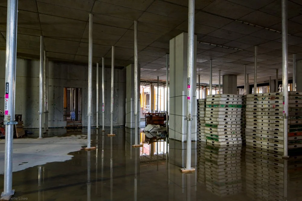 Jeanette Lowe ESB Fitzwilliam Project-0022.jpg