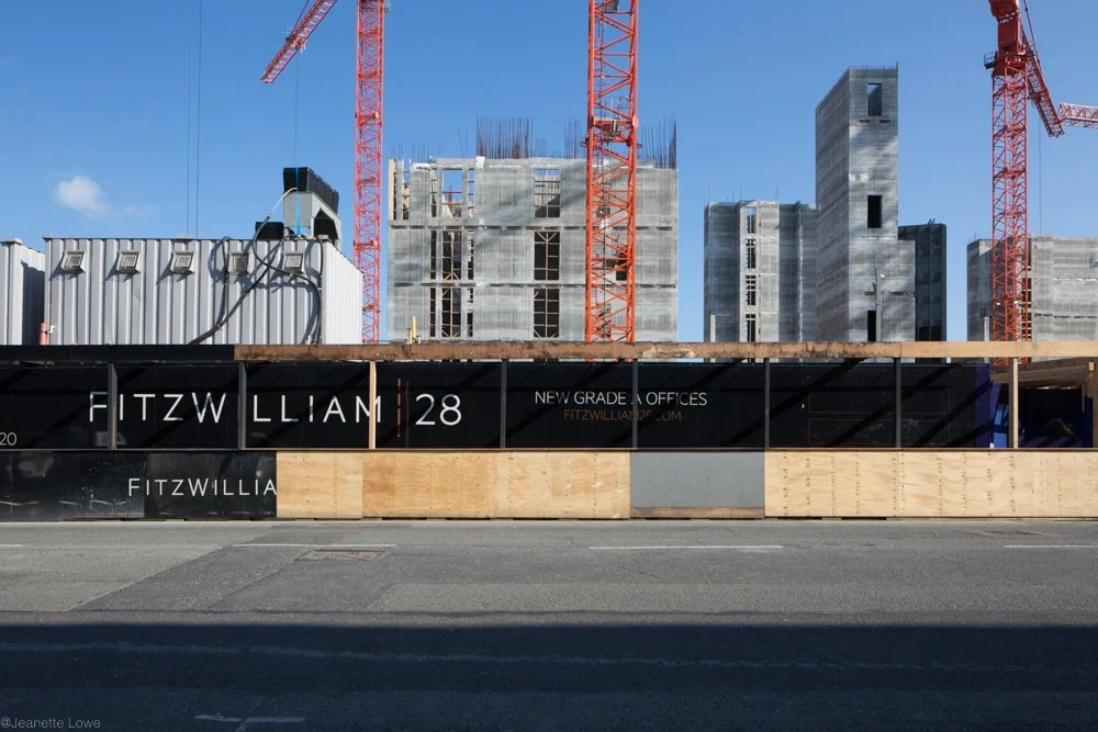 Jeanette Lowe ESB Fitzwilliam Project-8512.jpg