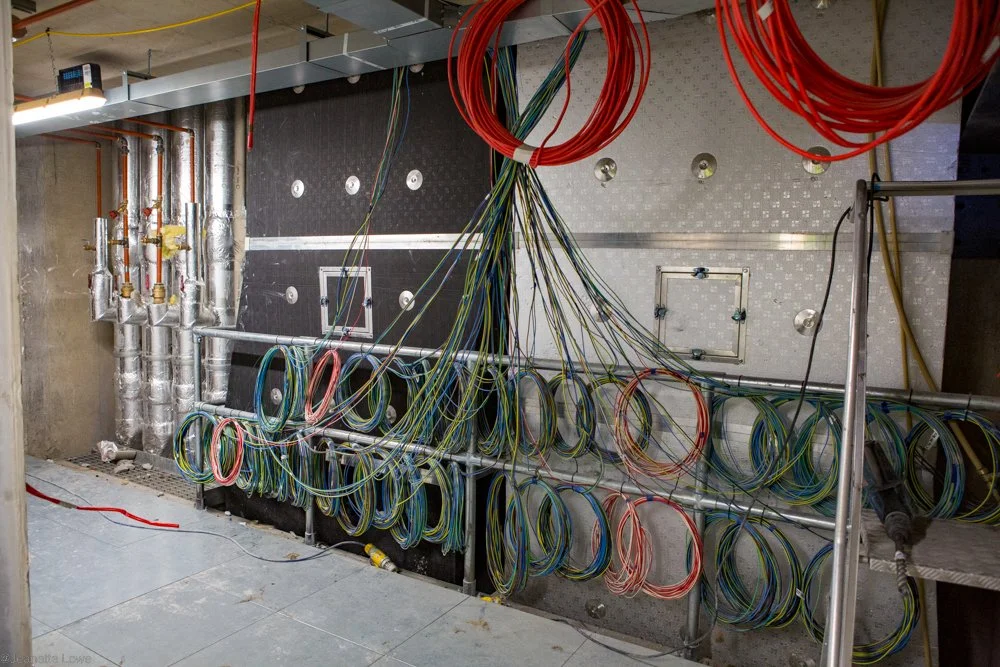 Jeanette Lowe ESB Fitzwilliam Project-0509.jpg