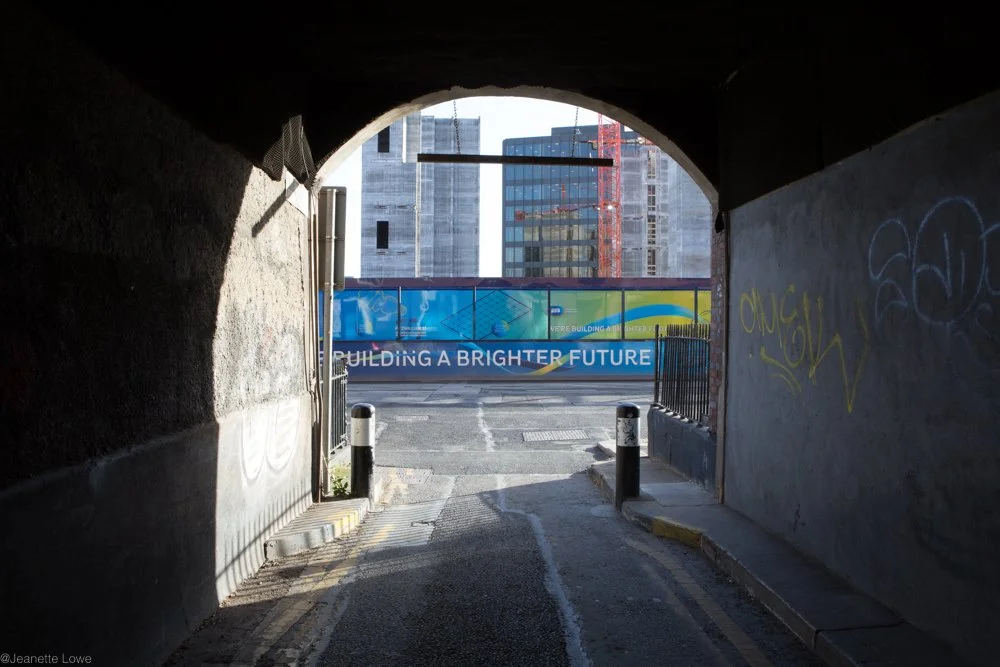 Jeanette Lowe ESB Fitzwilliam Project-0145.jpg