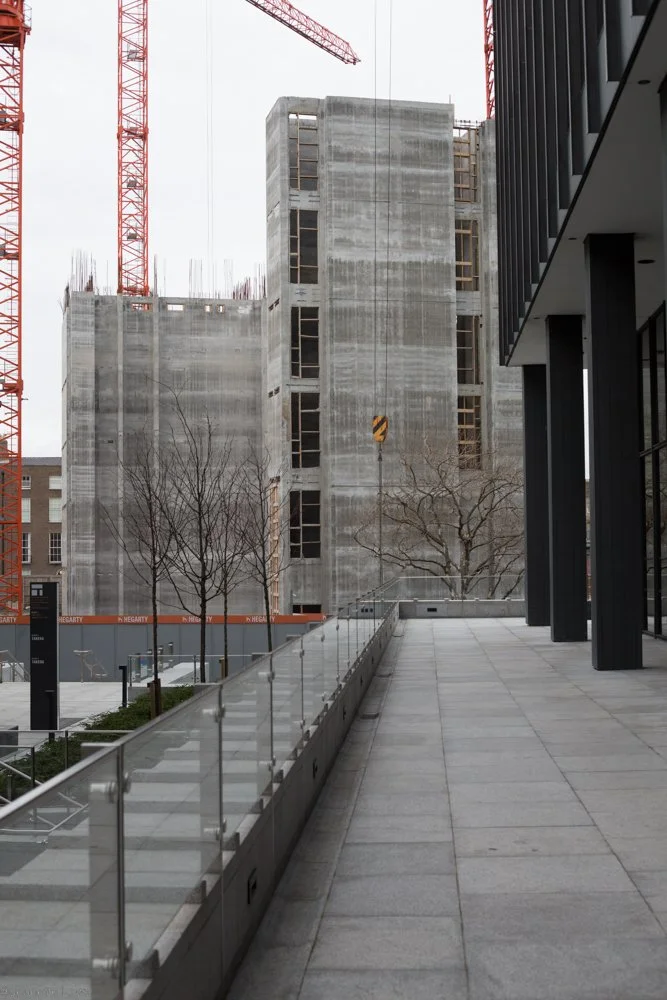 Jeanette Lowe ESB Fitzwilliam Project-8080.jpg